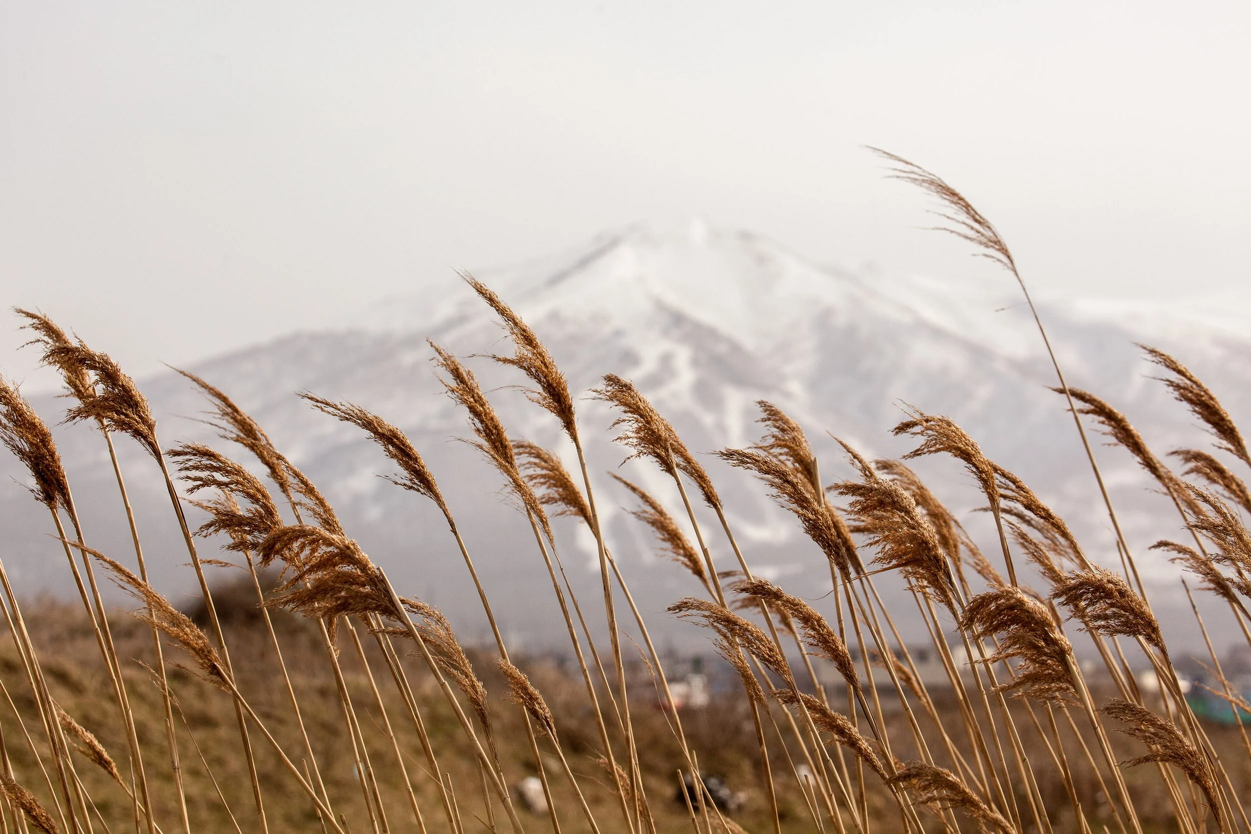 20150418_Niseko_Photography__MG_0037.jpg