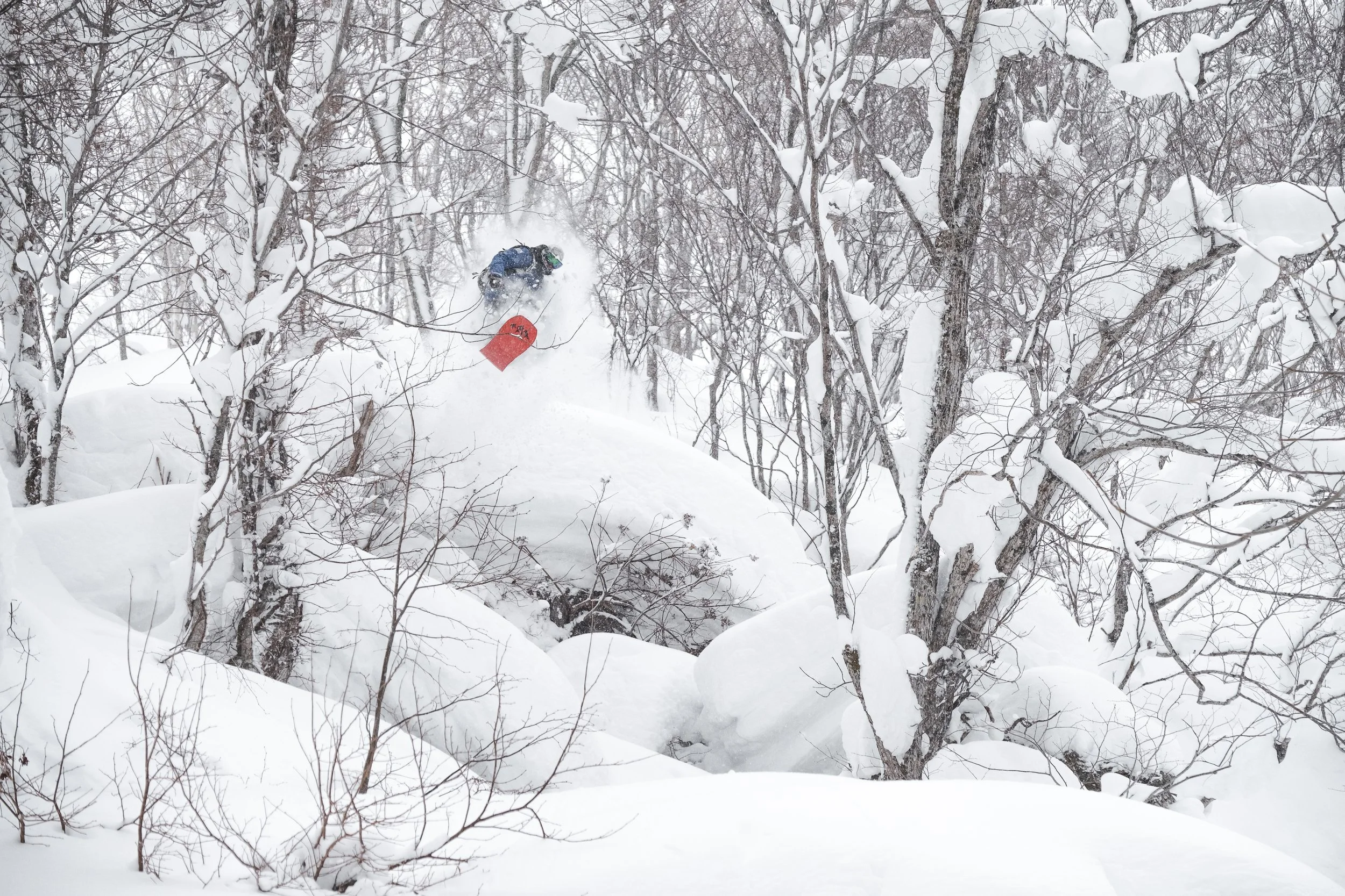 2018-DSCF8823-Niseko_Photography_BH.jpg