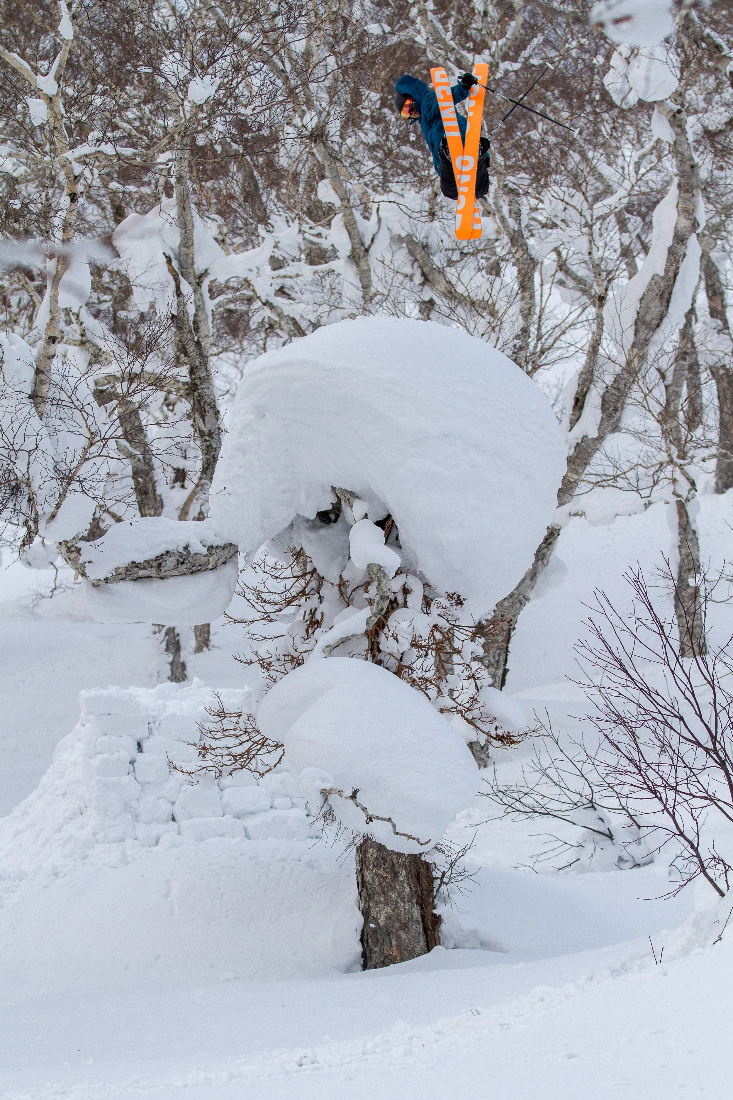-20140125_Niseko_Photography_MG_9368.jpg