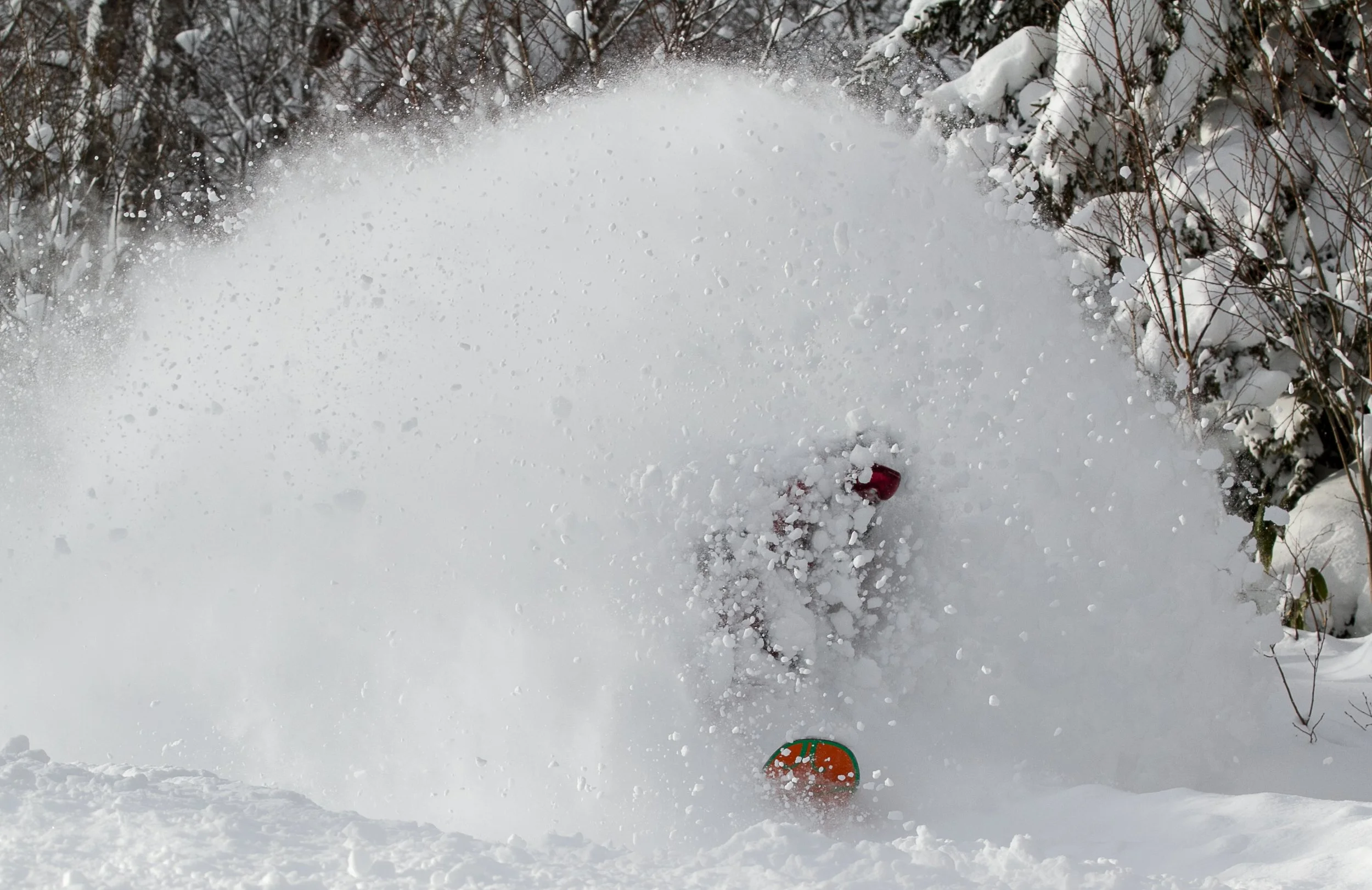 20141215_Niseko_Photography__MG_1575.jpg