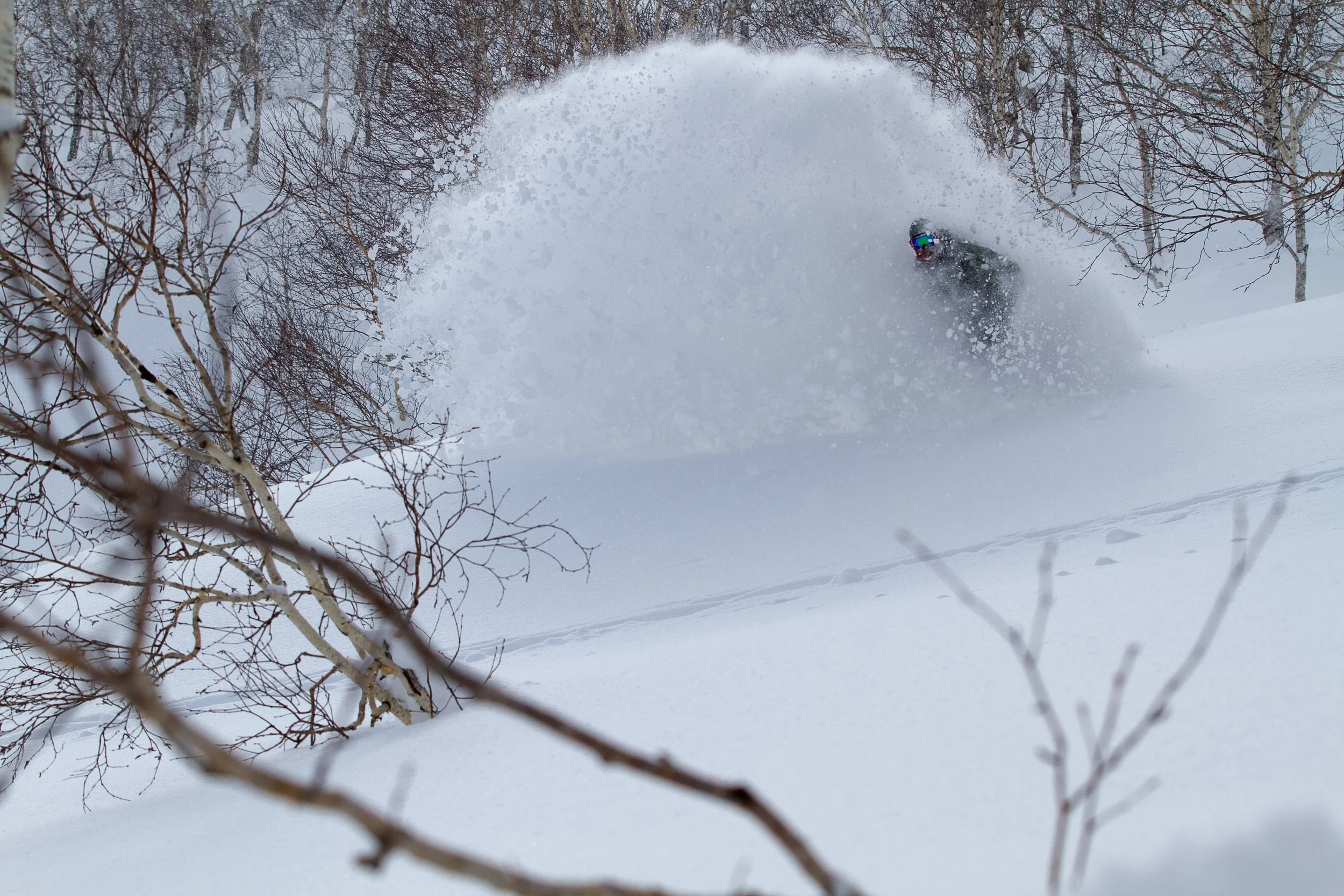 -20140311_Niseko_Photography_MG_6293.jpg