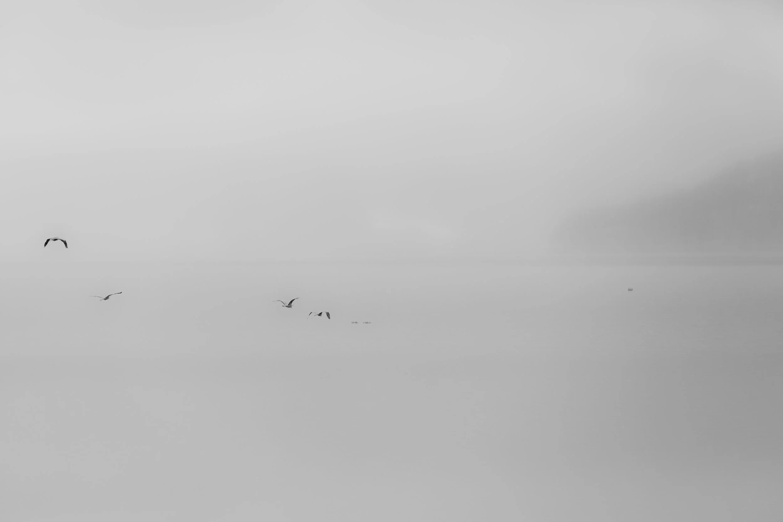 NisekoPhotographyAS-8942.jpg