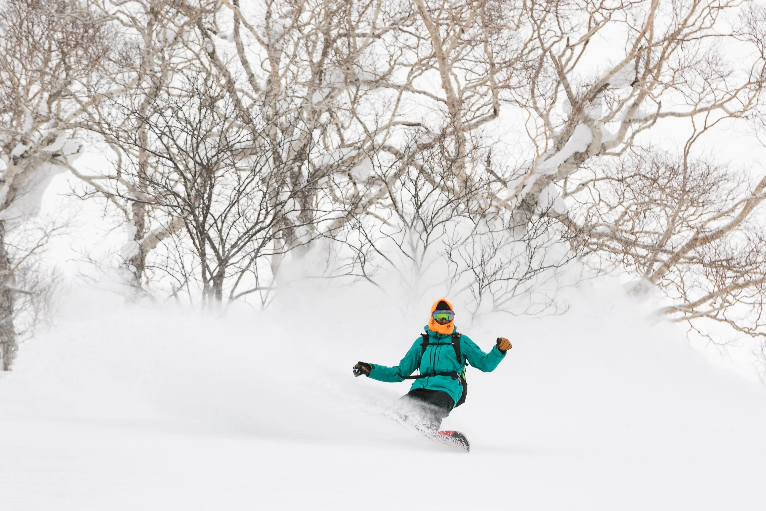 2018-CHAR0638-Niseko_Photography_CW.jpg