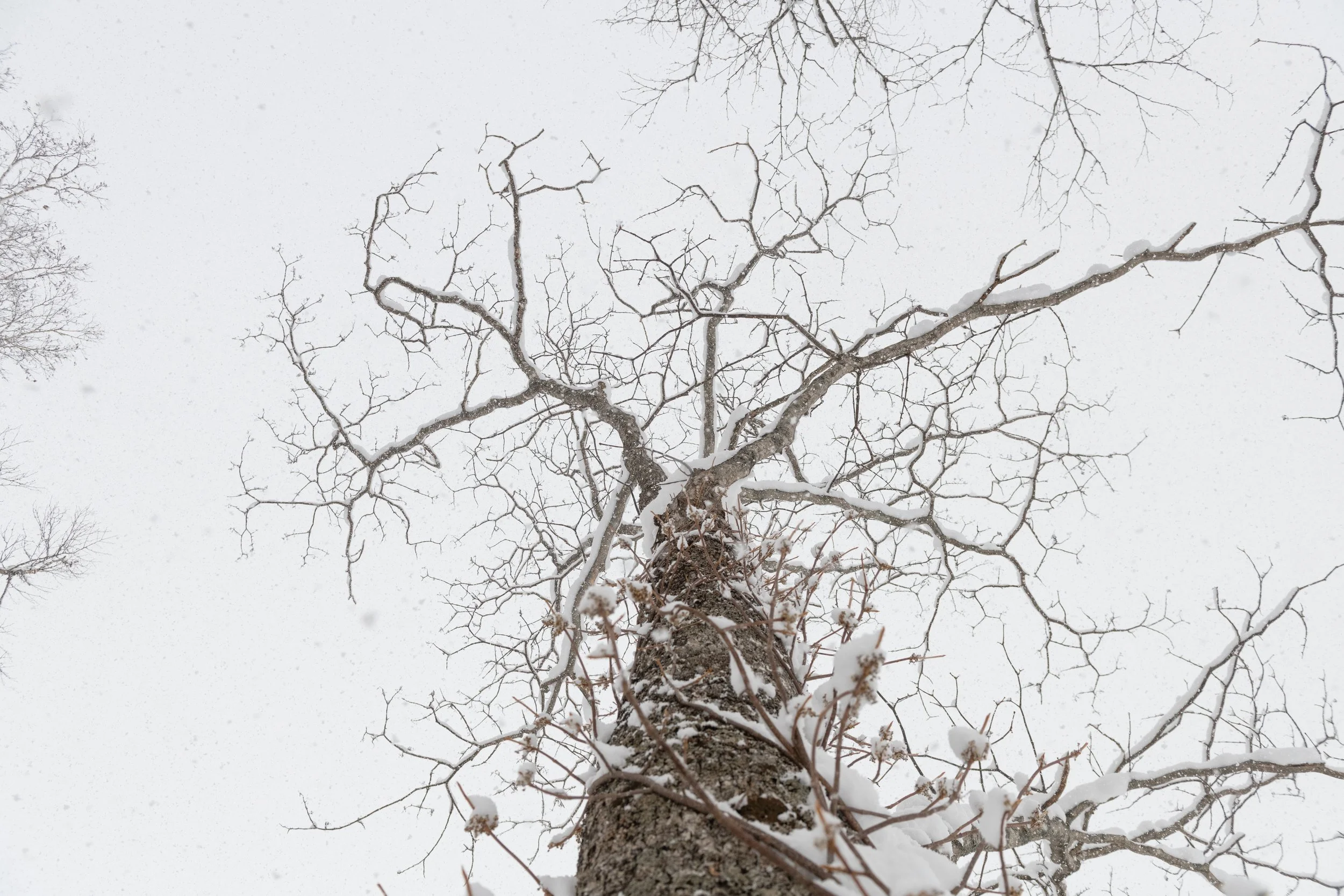 DSC_1198.jpg
