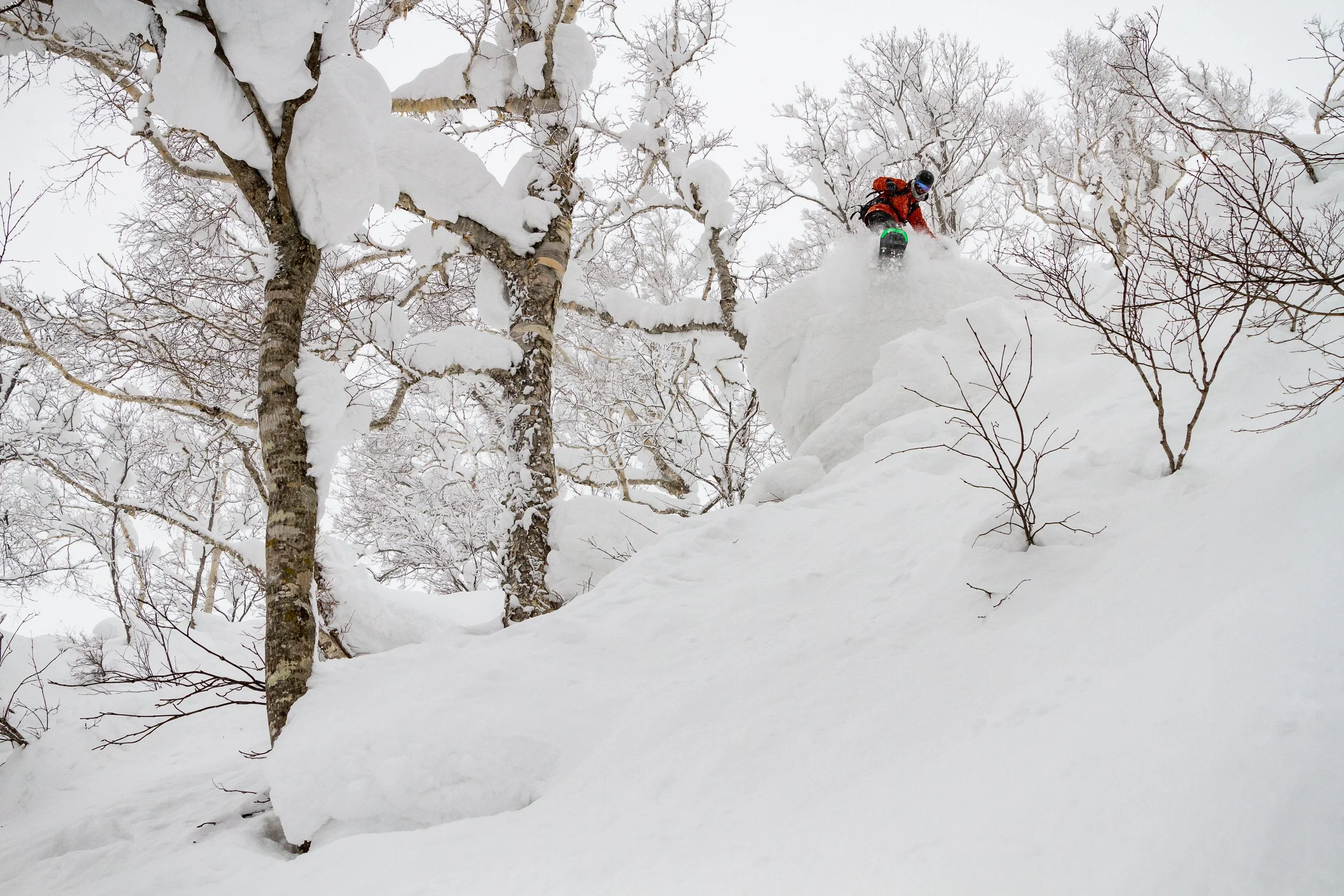 2019-IMG_6628-Niseko_Photography _PD.jpg