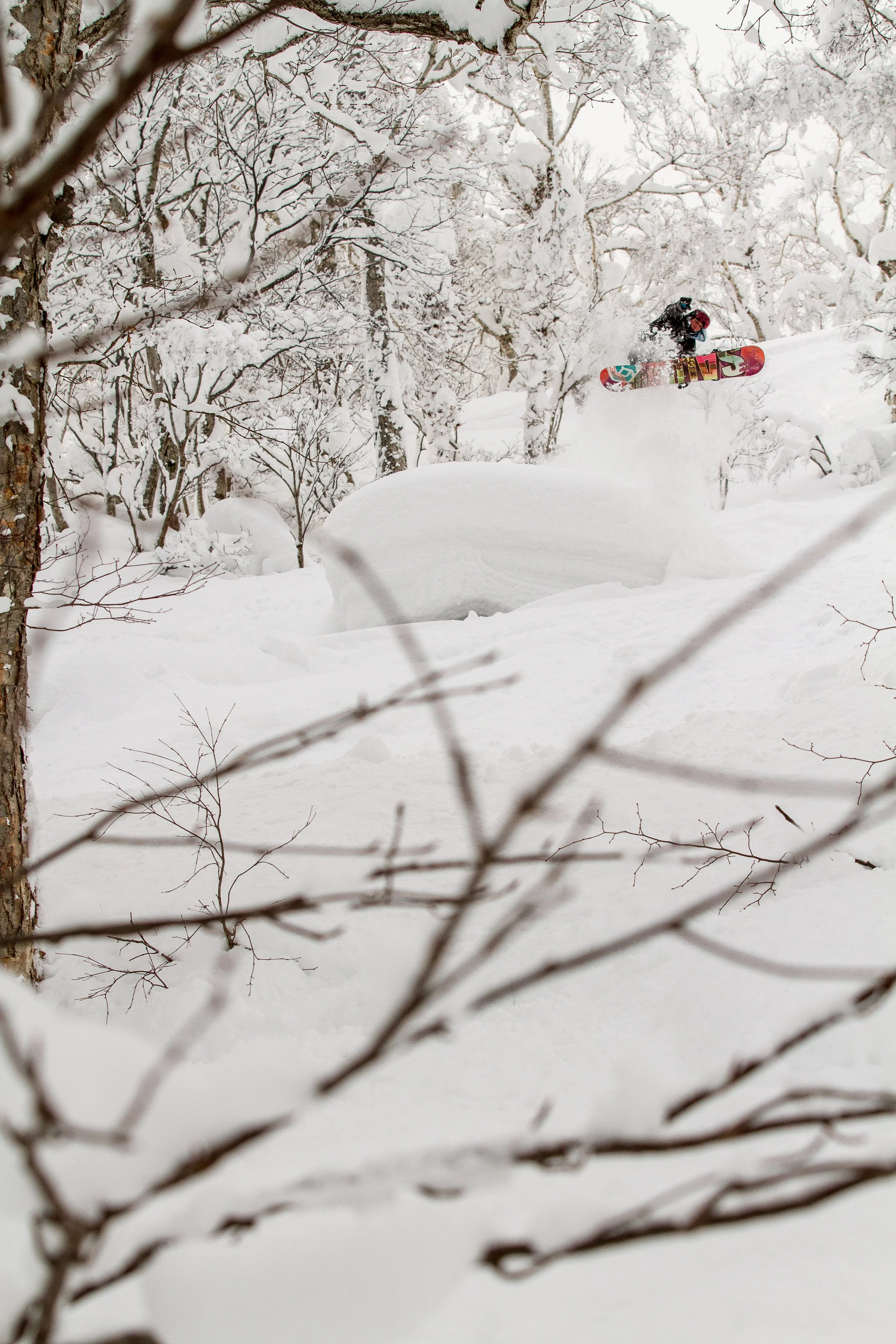20141225_Niseko_Photography__MG_3537.jpg