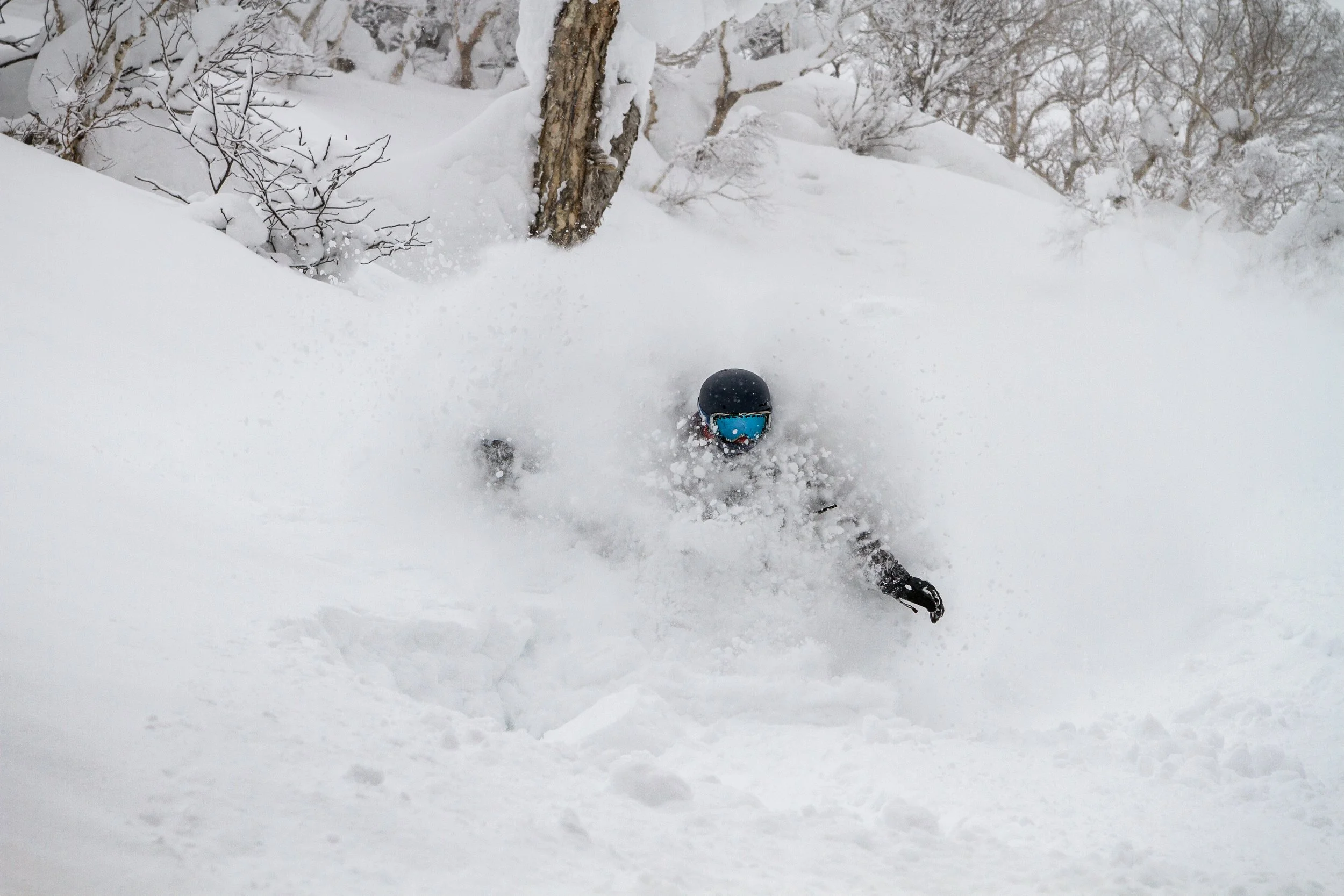 2019-IMG_6592-Niseko_Photography _PD.jpg