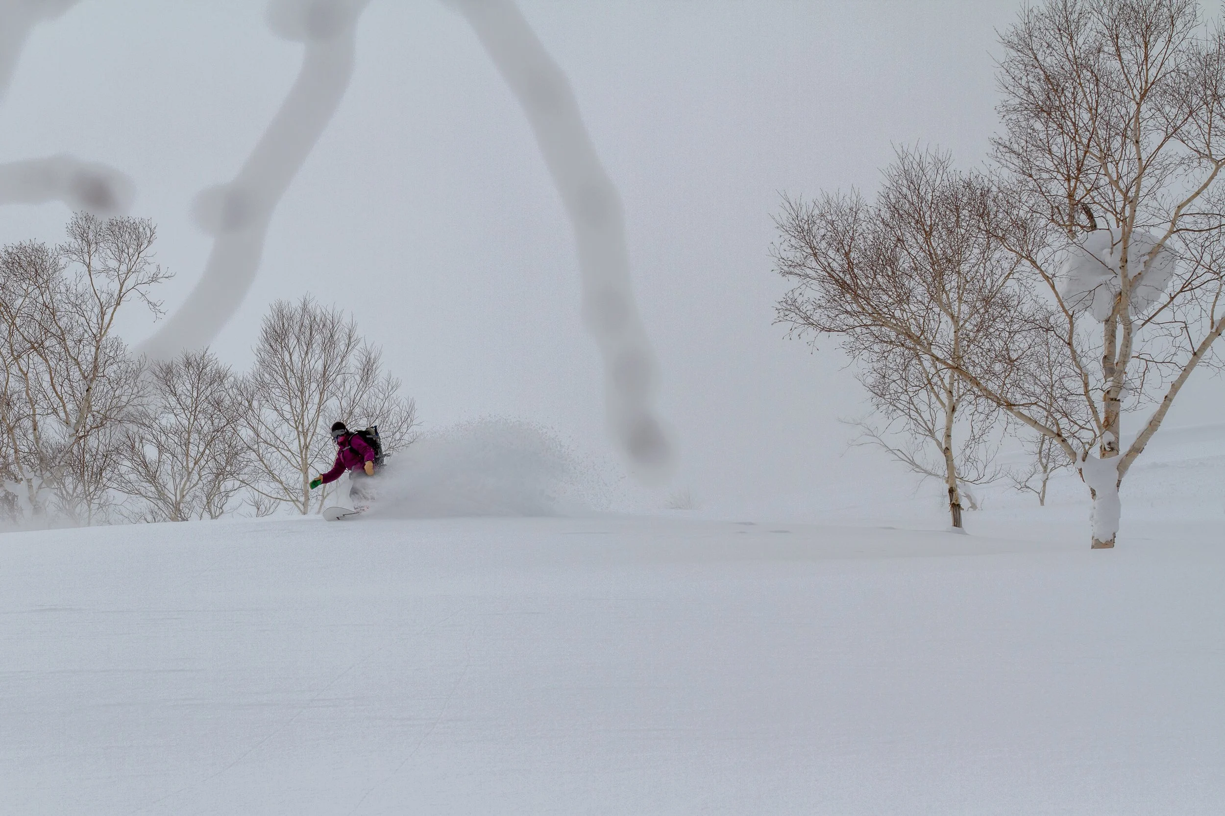 -20140311_Niseko_Photography_MG_6089.jpg