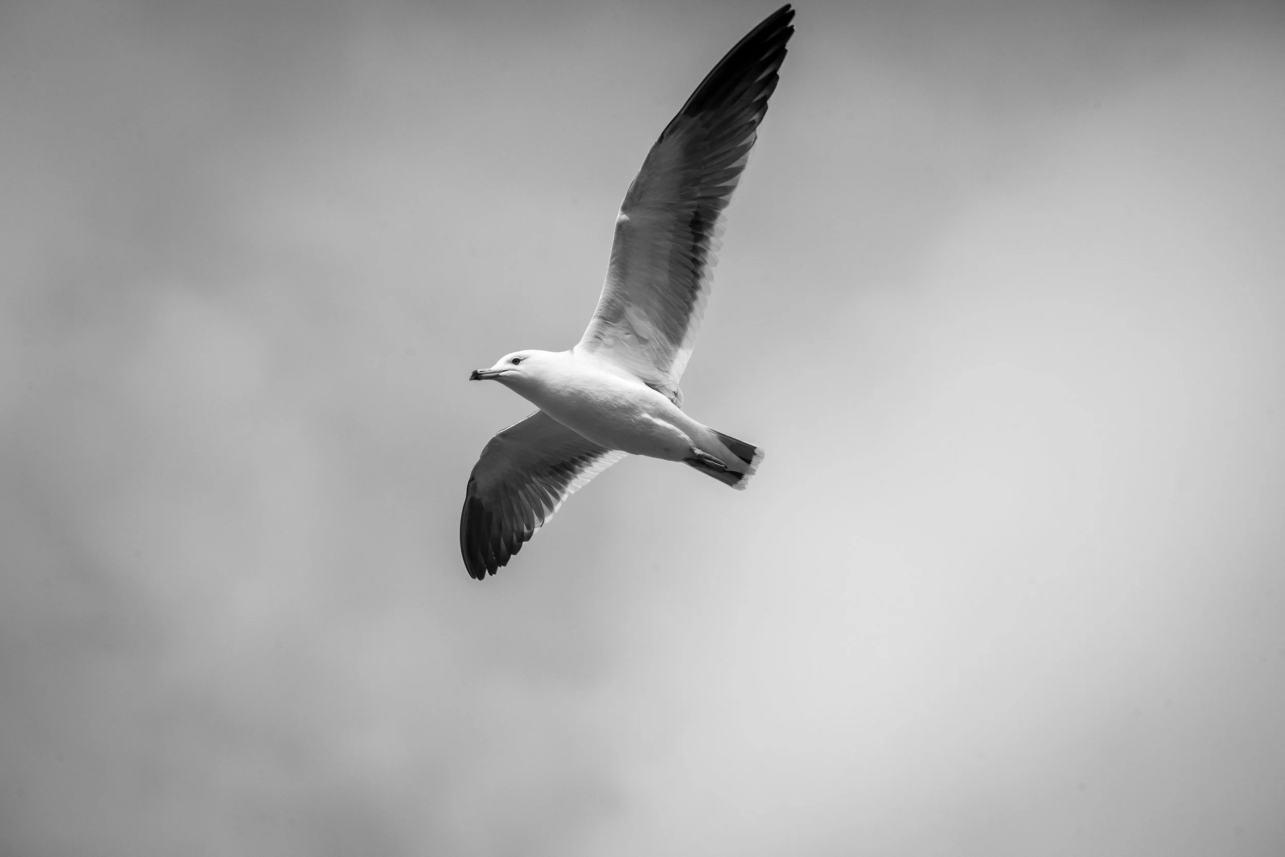 20150418_Niseko_Photography__MG_0033.jpg