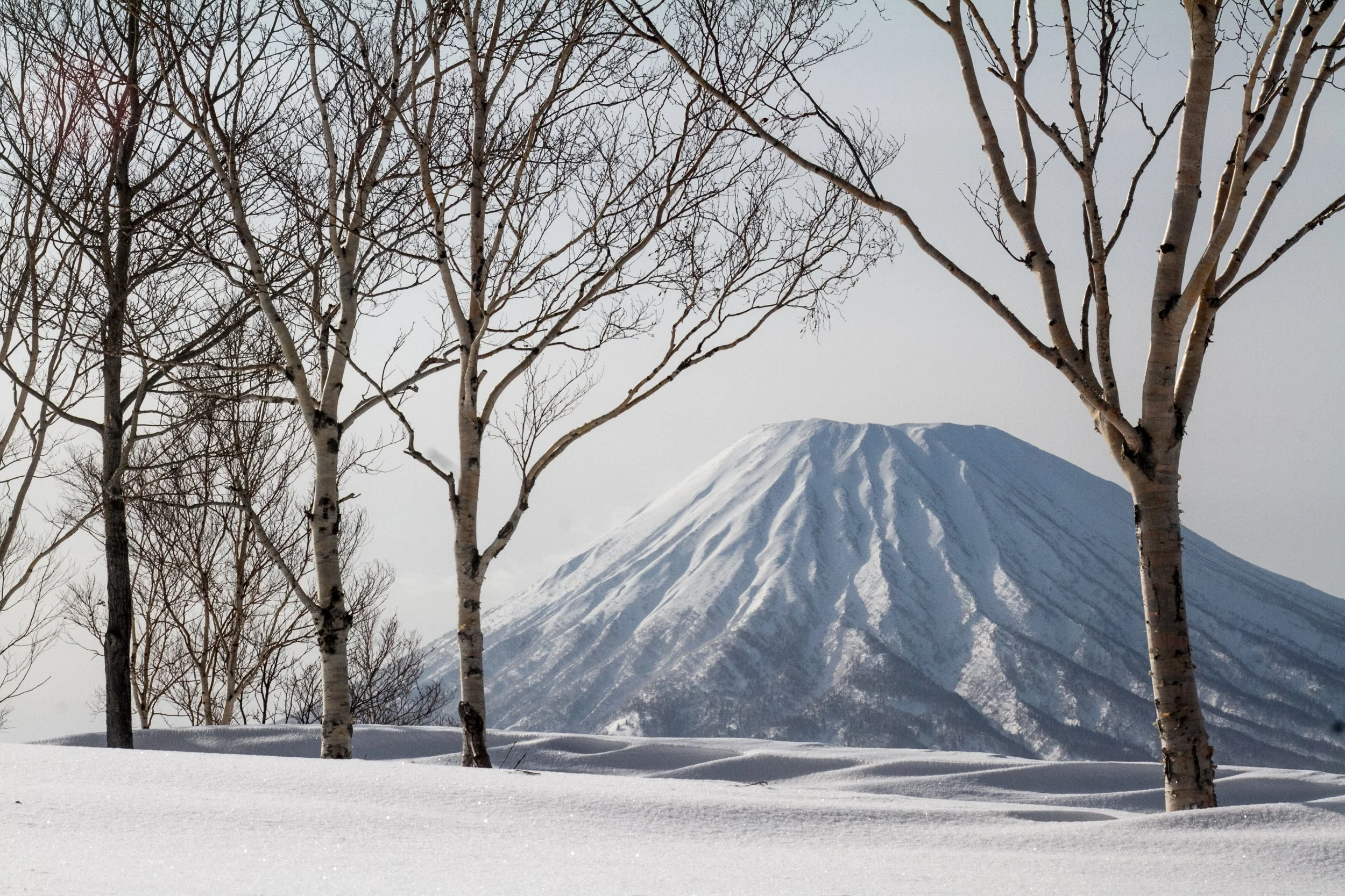 BH_Niseko_Photography-7677.jpg