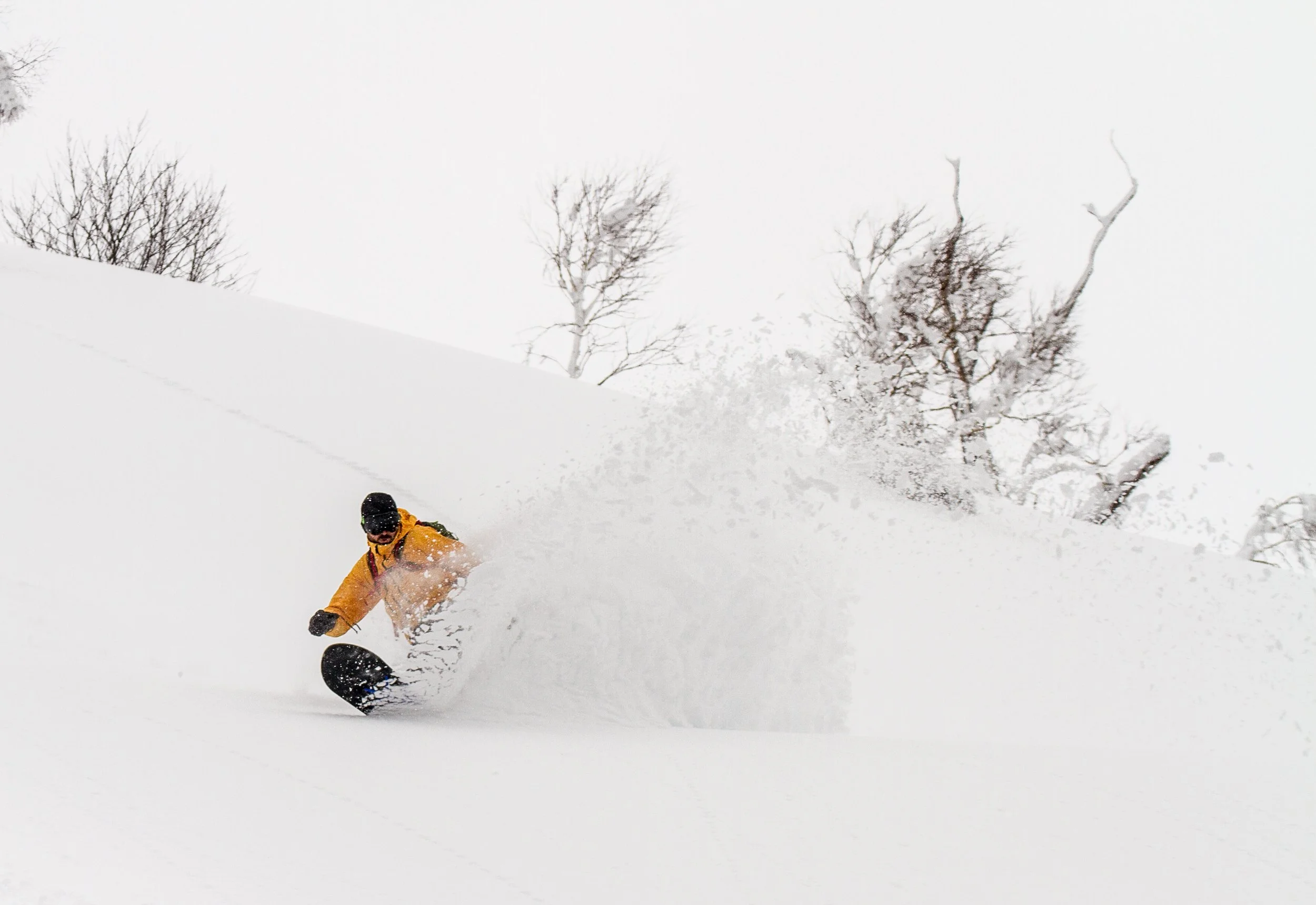 20150314_Niseko_Photography__MG_9413.jpg
