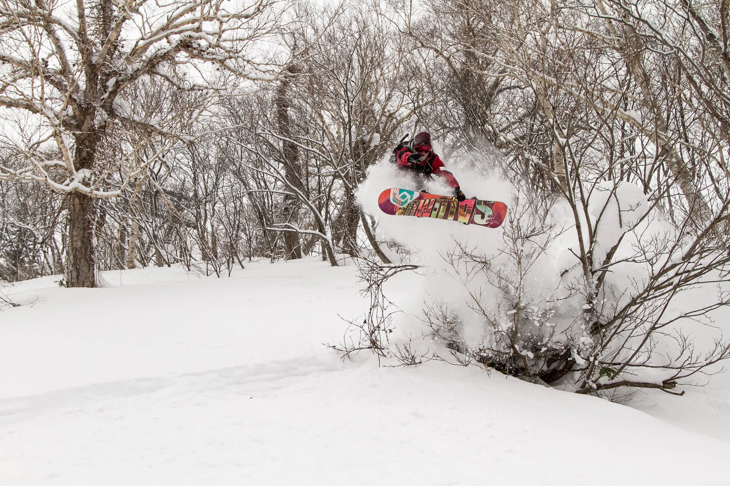 20141219_Niseko_Photography__MG_1938.jpg