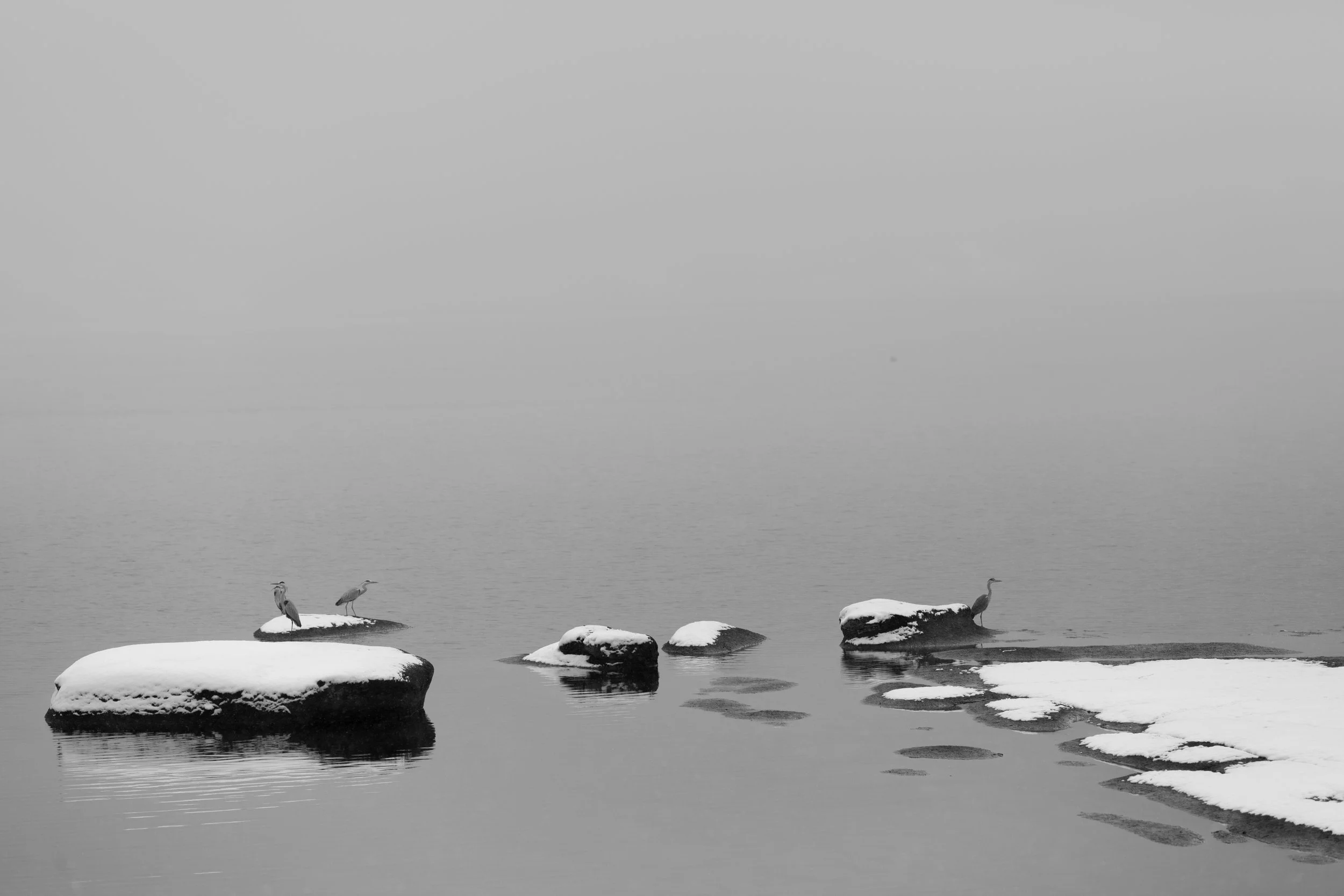 NisekoPhotographyAS-8940.jpg