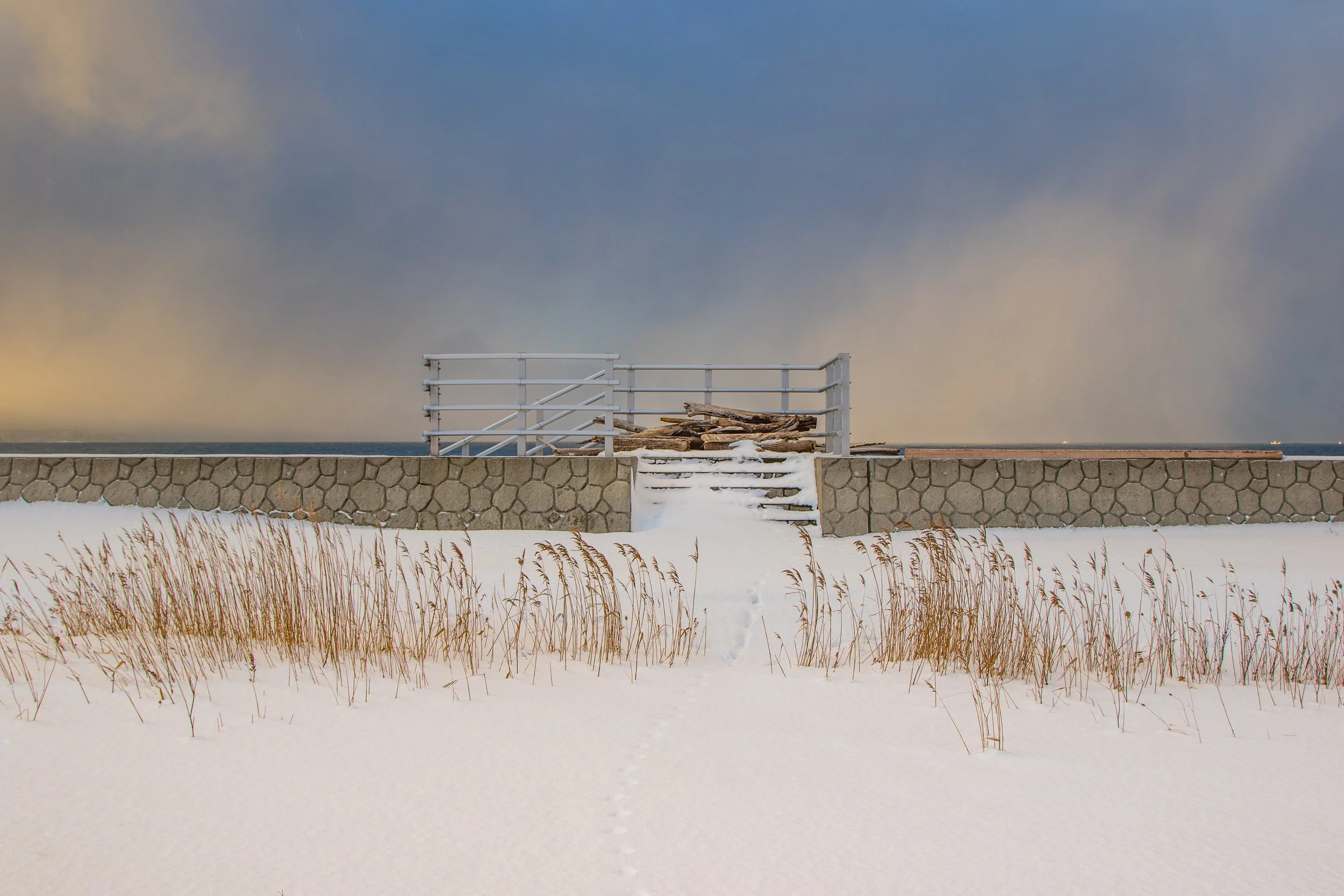 20170117-_V0A1097NisekoPhotographyDT-Edit.jpg