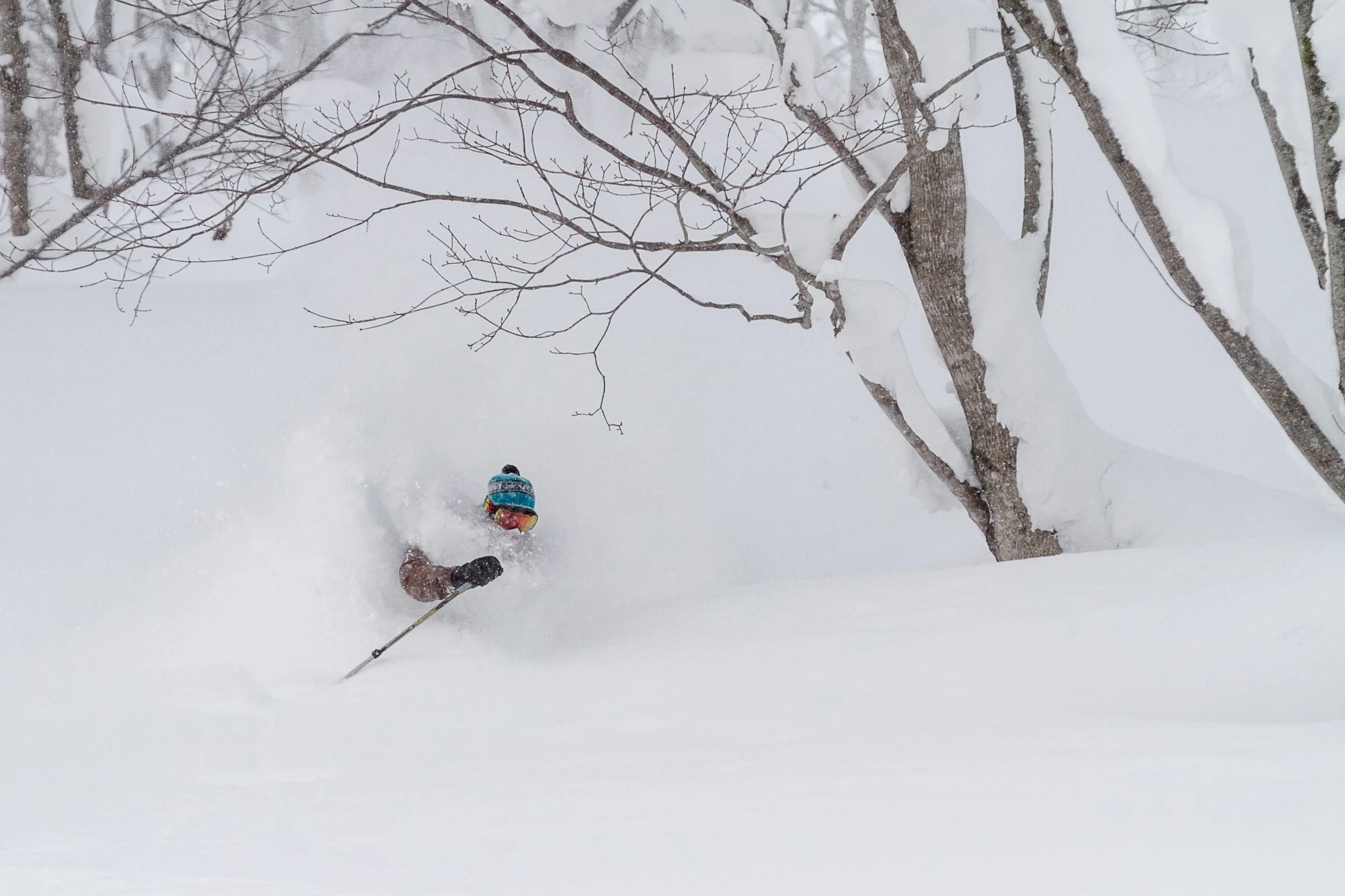 20130106-20130106_Niseko_Photography__MG_9028-Niseko_Photography_DT.jpg