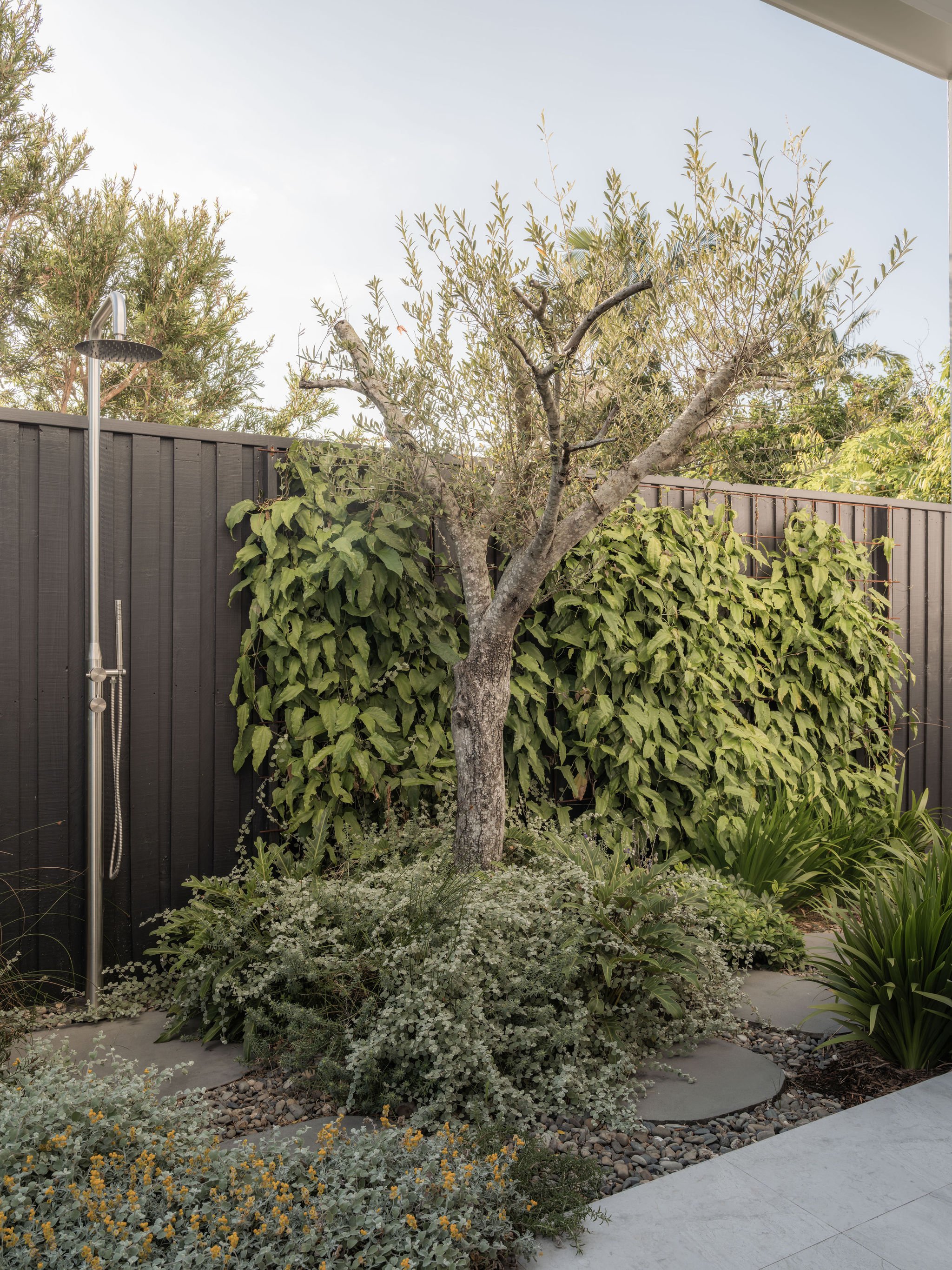Parklane Place home Bulimba - landscaping. Interiors by Borgeaud Interiors.