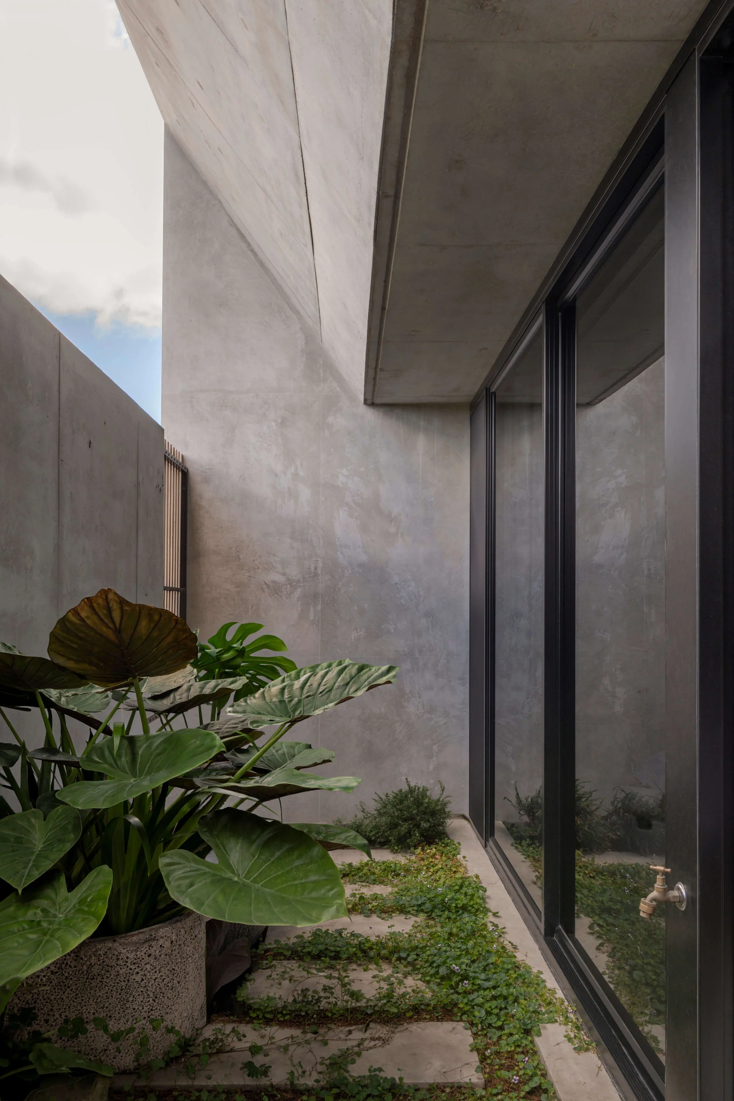 Akuna Laidlaw home East Brisbane - landscaping. Interiors by Borgeaud Interiors.