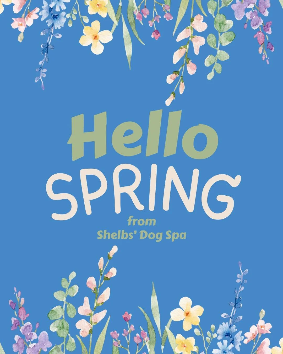 🌷Spring is Here🌷
Longer days, warmer weather, and plenty of rain, which means muddy paws and messy coats are back in full swing🐾

Here are some pups that have come in to get their spring up-do! 

With Easter right around the corner, there&rsquo;s 