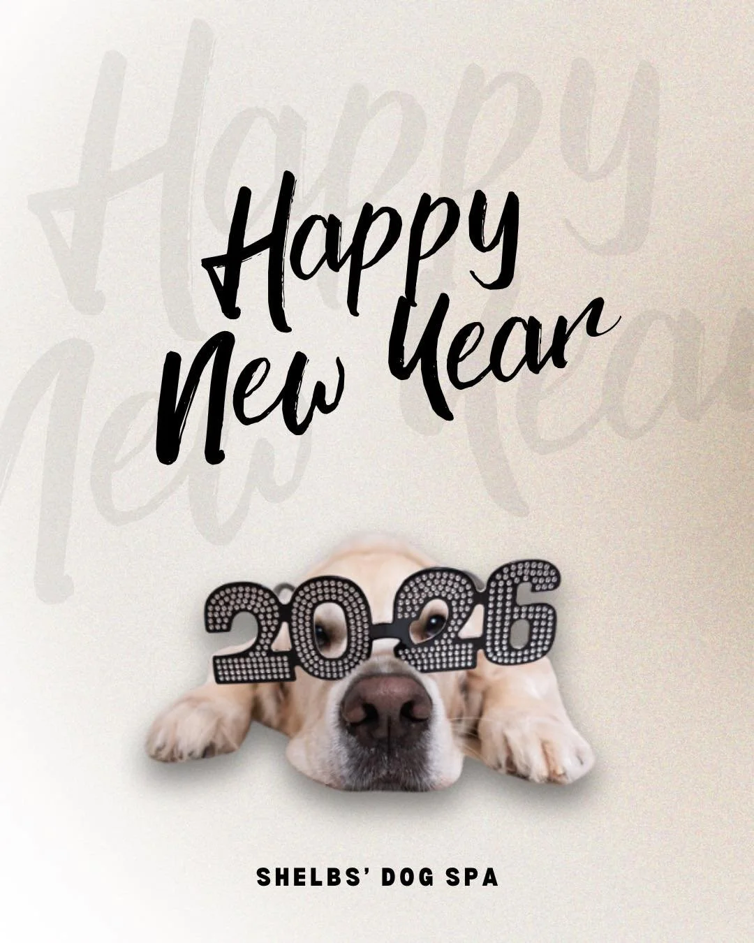 ✨ Welcome, New Year ✨

Looking back, we see a year full of moments that mattered, quiet blessings, answered prayers, and plenty of muddy paws that reminded us why we do what we do. 🐾🤍

God has been faithful in ways both big and small, and we step i