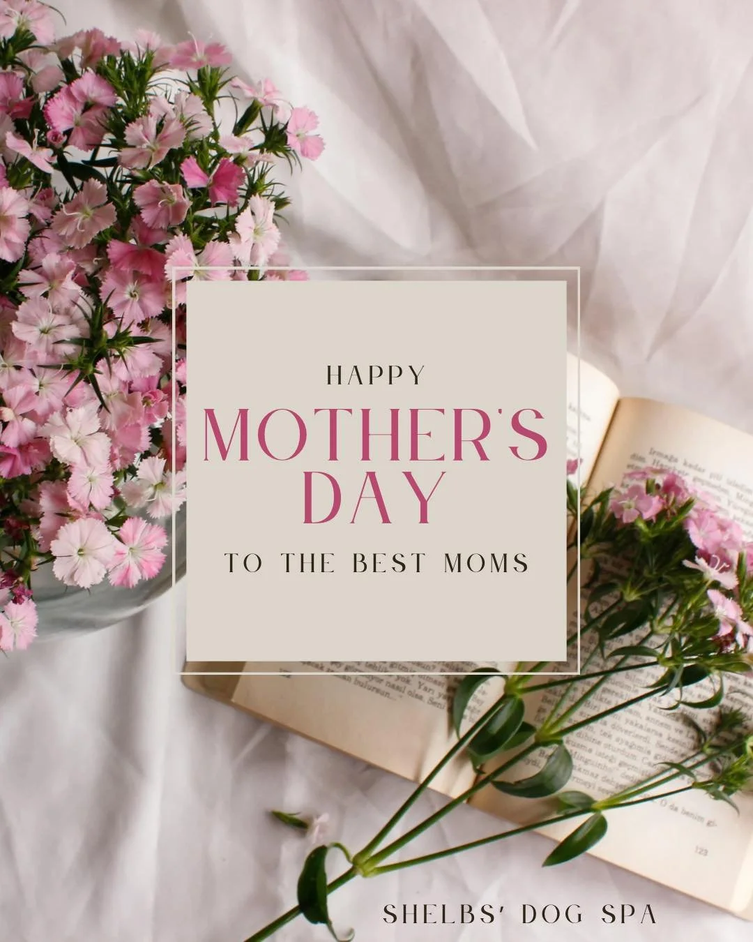 Happy Mother&rsquo;s Day from Shelbs&rsquo; Dog Spa! 💐

Today we&rsquo;re celebrating all the amazing moms including the dog moms who love, spoil, and care for their pups like family.

We hope your day is filled with love, relaxation, and appreciati