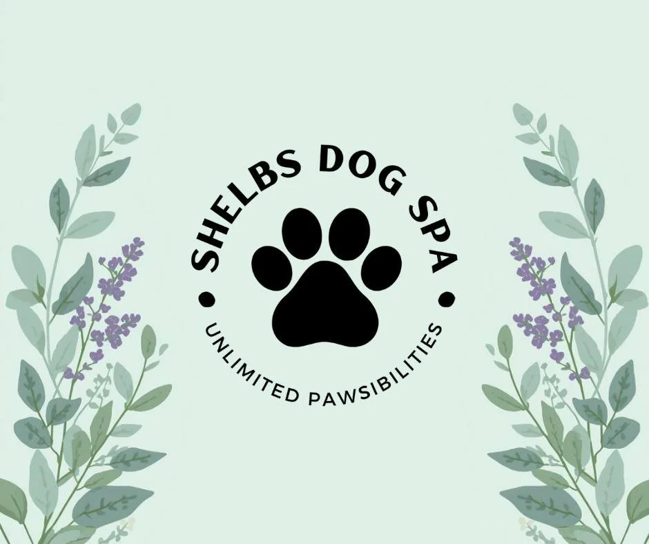 Walking into the weekend like... 💅🐾

Feelin&rsquo; fancy and looking even better! These beautiful pups came in for their 'glam' session and absolutely nailed the photoshoot. From perfectly fluffed ears to those signature bandanas, they are official