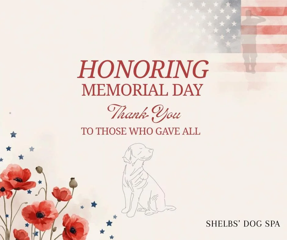 Honoring Memorial Day 🇺🇸

Today, we pause to honor and remember the brave men and women who gave everything for our freedom. Their sacrifice will never be forgotten.

From all of us at Shelbs&rsquo; Dog Spa, thank you to those who served, and espec