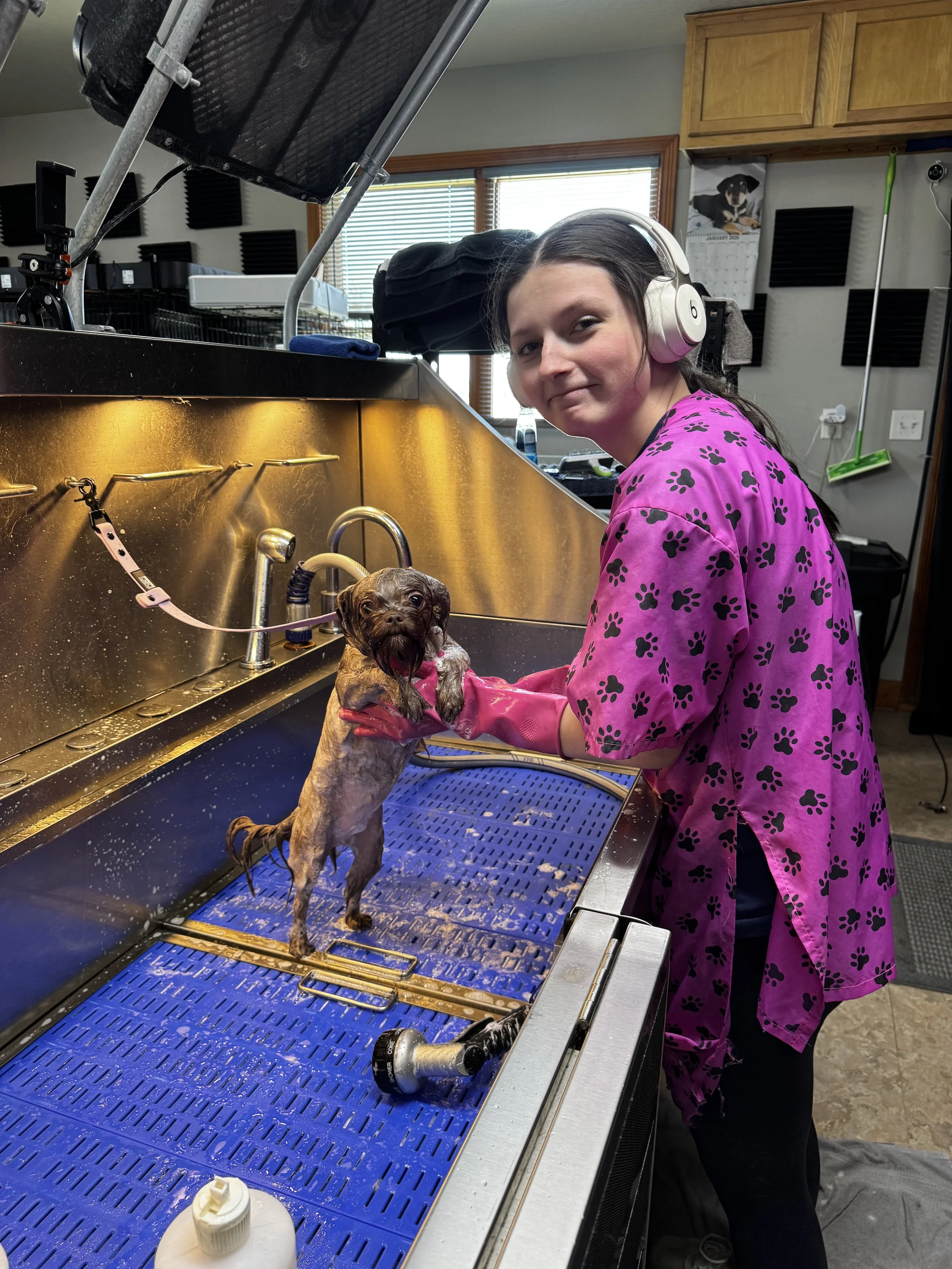 A young woman wearing pink scrubs with black paw prints, pink gloves, and white headphones is bathing a small wet dog in a professional grooming or veterinary setting. The dog appears to be a brindle or brown-colored puppy. The environment has a stainless steel sink, grooming tools, and acoustic foam panels on the walls.