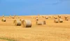 EnviroMonitor Gateways and Nodes — Davis Instruments Australia