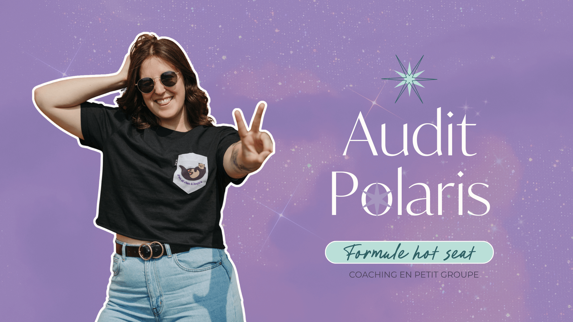 Audit Polaris - 44 $ (Version bêta)