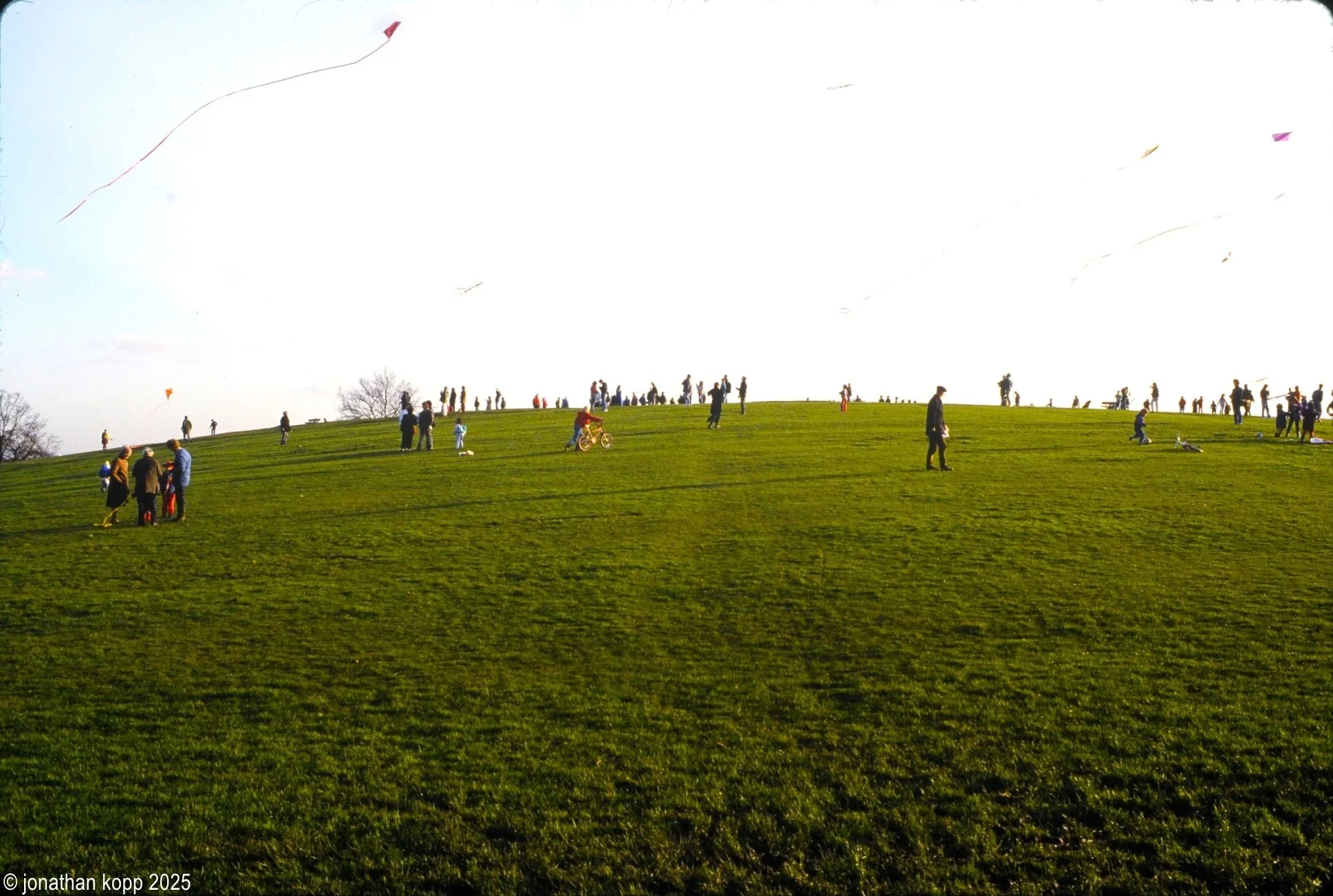 Hampstead Heath, London, 1988
