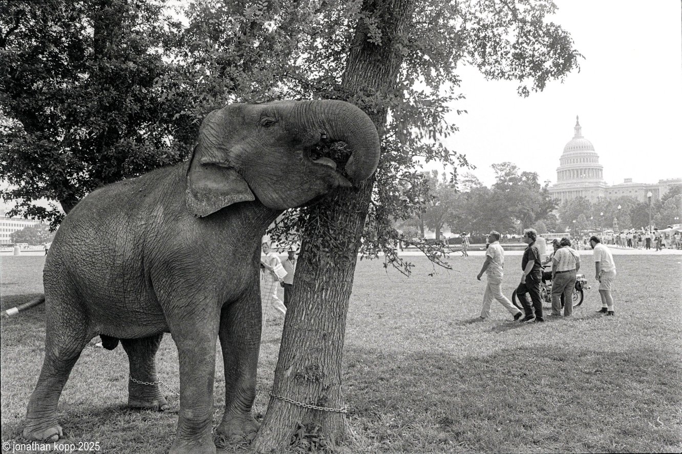 National Mall, July 4, 1976