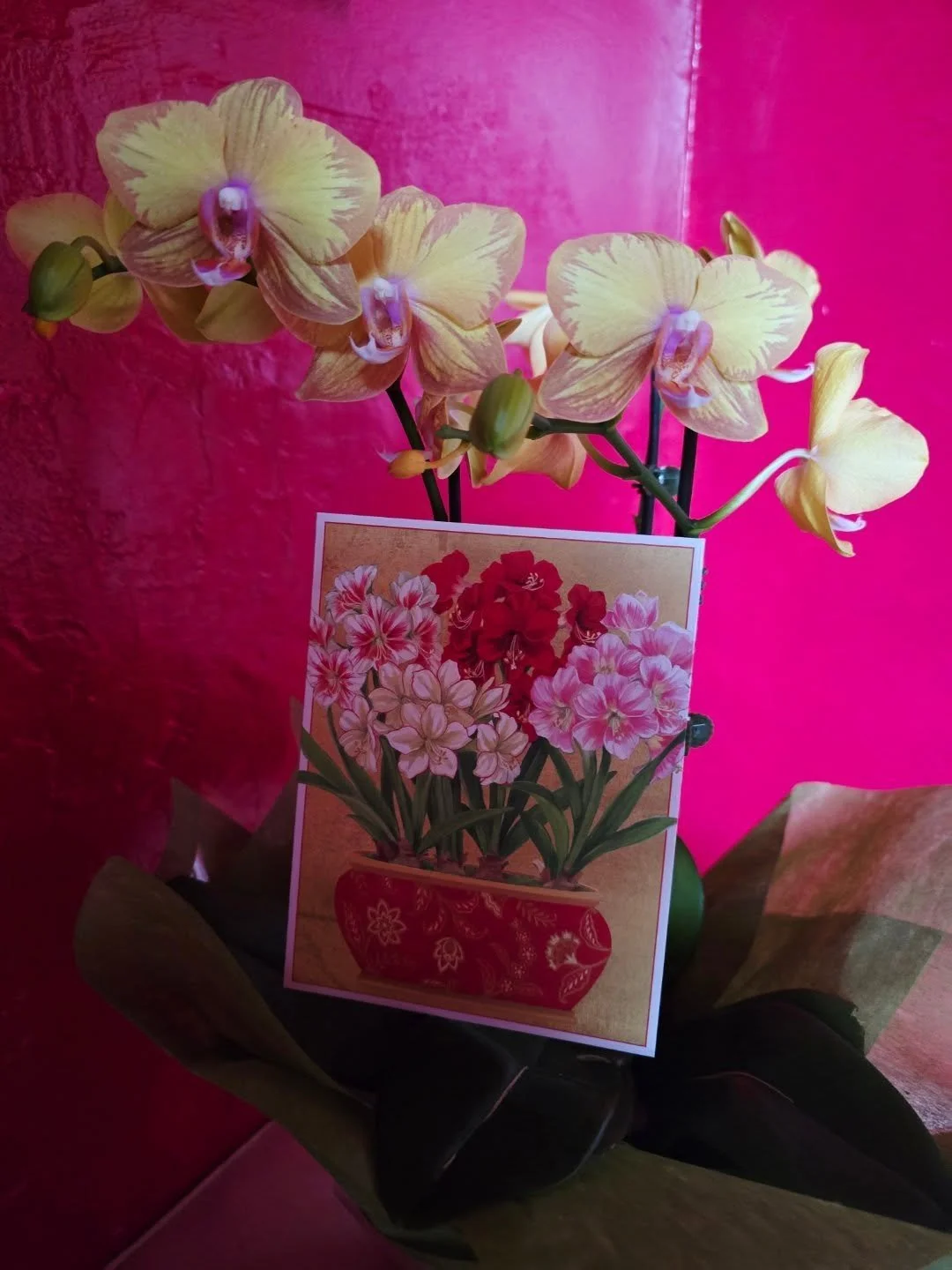 #lovewhatyoudo #wedo Thank you Anna, we are so thrilled you loved your beautiful gown! It was so lovely of you to visit, show us the photos and spoil us with so many beautiful gifts!!! Xx 🙏&hearts;️🥂✨️ 

#louisealvarezcouture #customlouisealvarez #