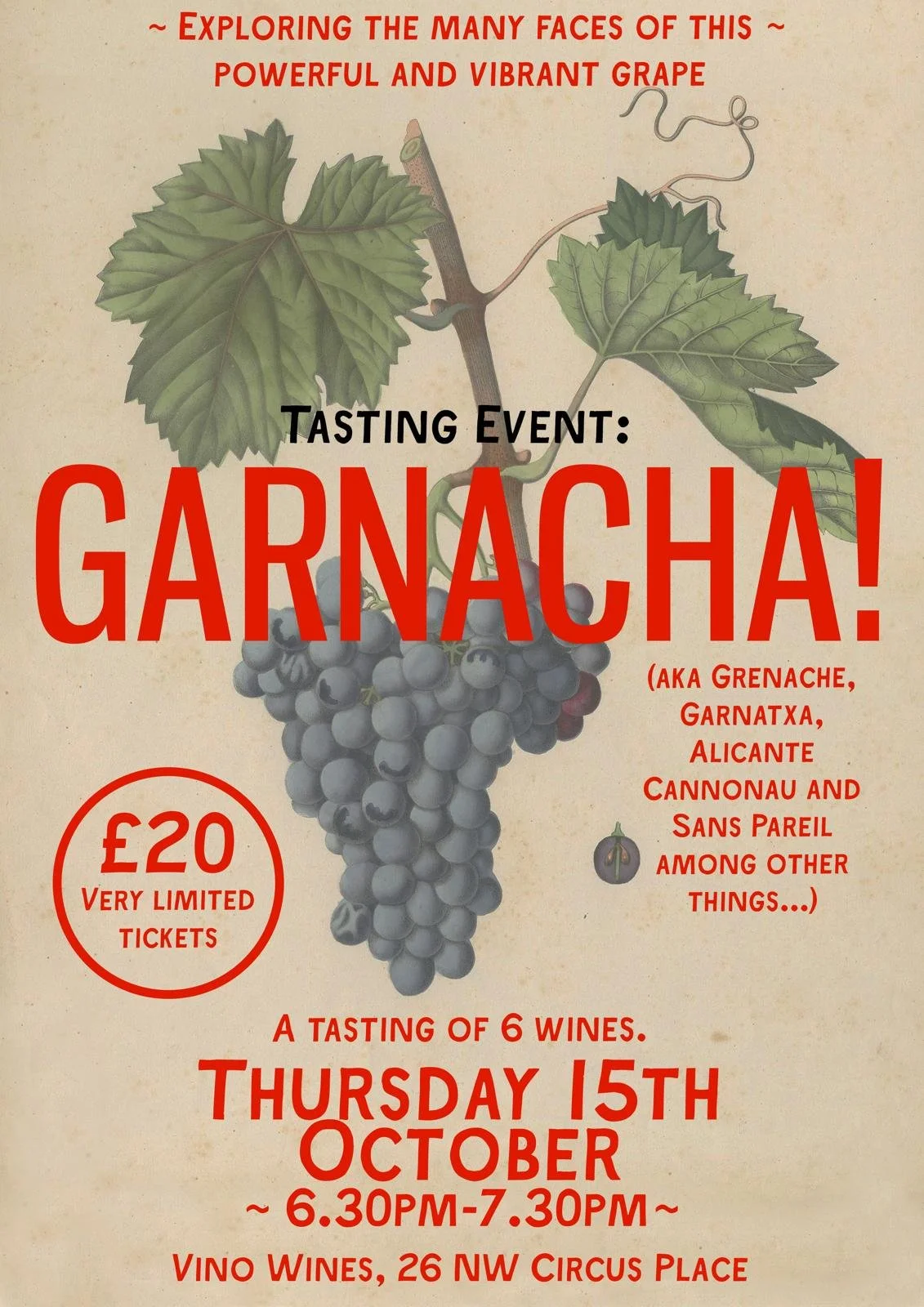 THE MANY FACES OF GRENACHE TASTING