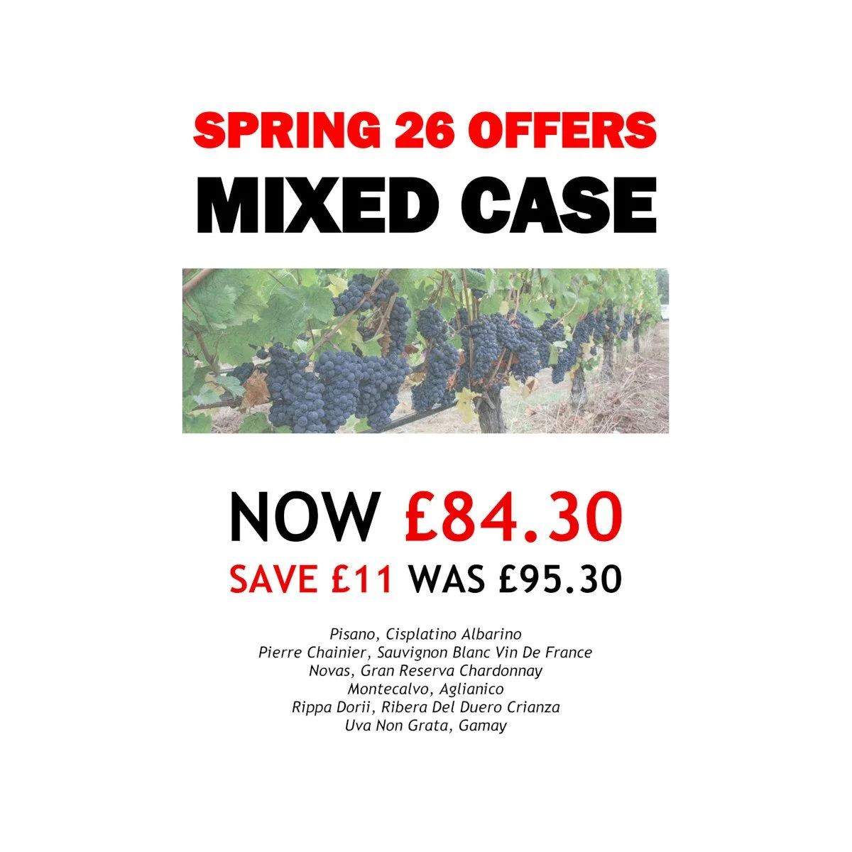 SPRING 26 case label.jpg