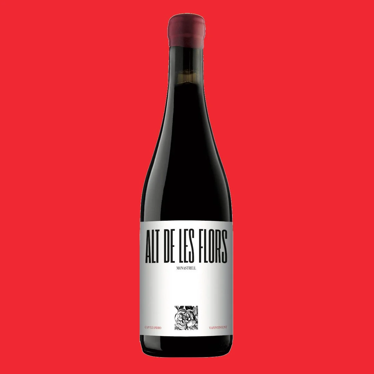 CAN' LEANDRO ALT DE LES FLORS.JPG