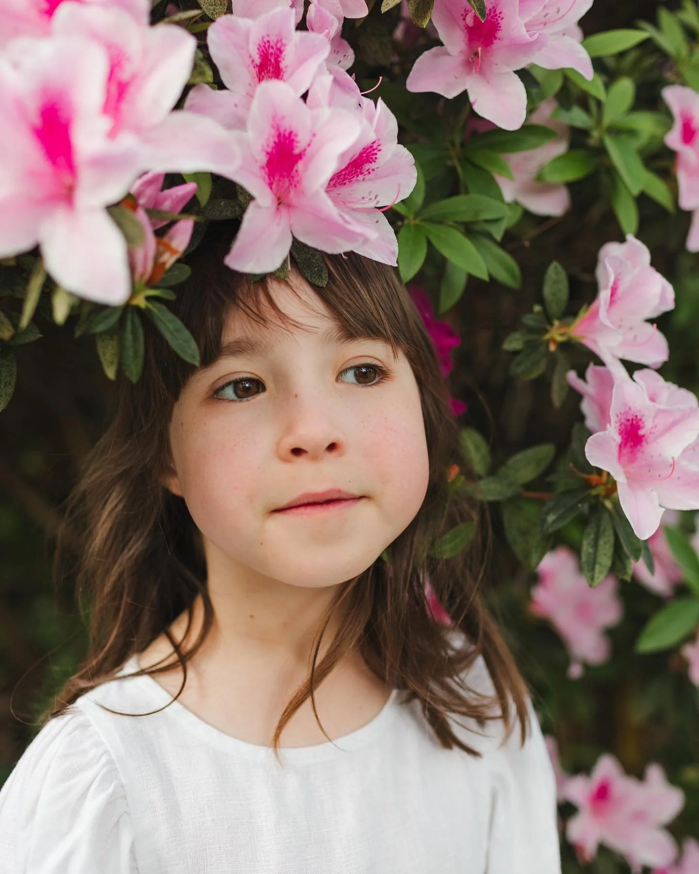 My middle girl, my smallest girl, my feisty one, my sweet delightful girl that loves bugs and rocks and sticks and flowers and unicorns and dragons and rainbows. You are so special and we love you so much! Happy 6th birthday tiny one!