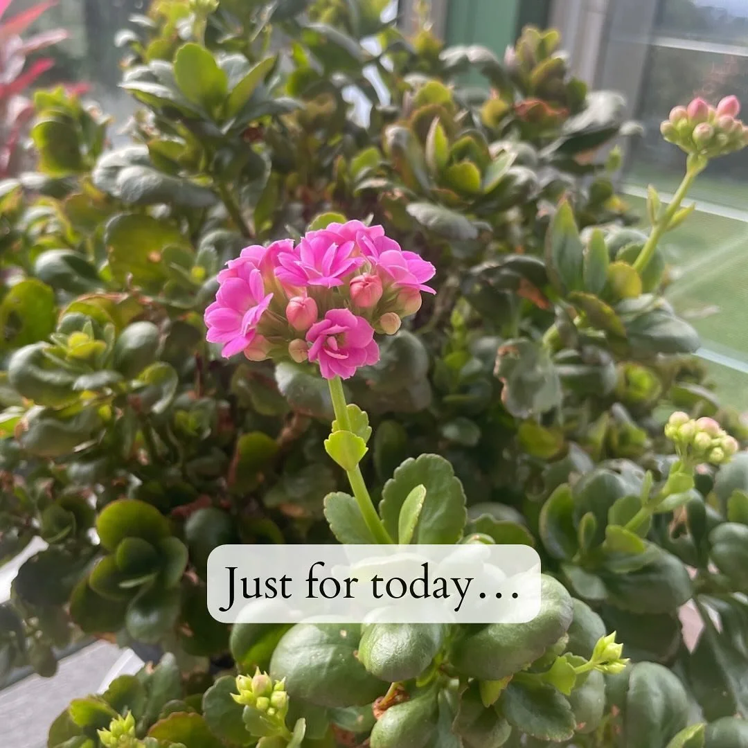 Reiki precept: &lsquo;Just for today I will be grateful&rsquo;. Yesterday one of my lovely trainers at the gym asked everyone what their good news story for the day was. Each person seemed to find the question first and little challenging but eventua