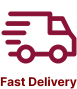 fast delivery icon