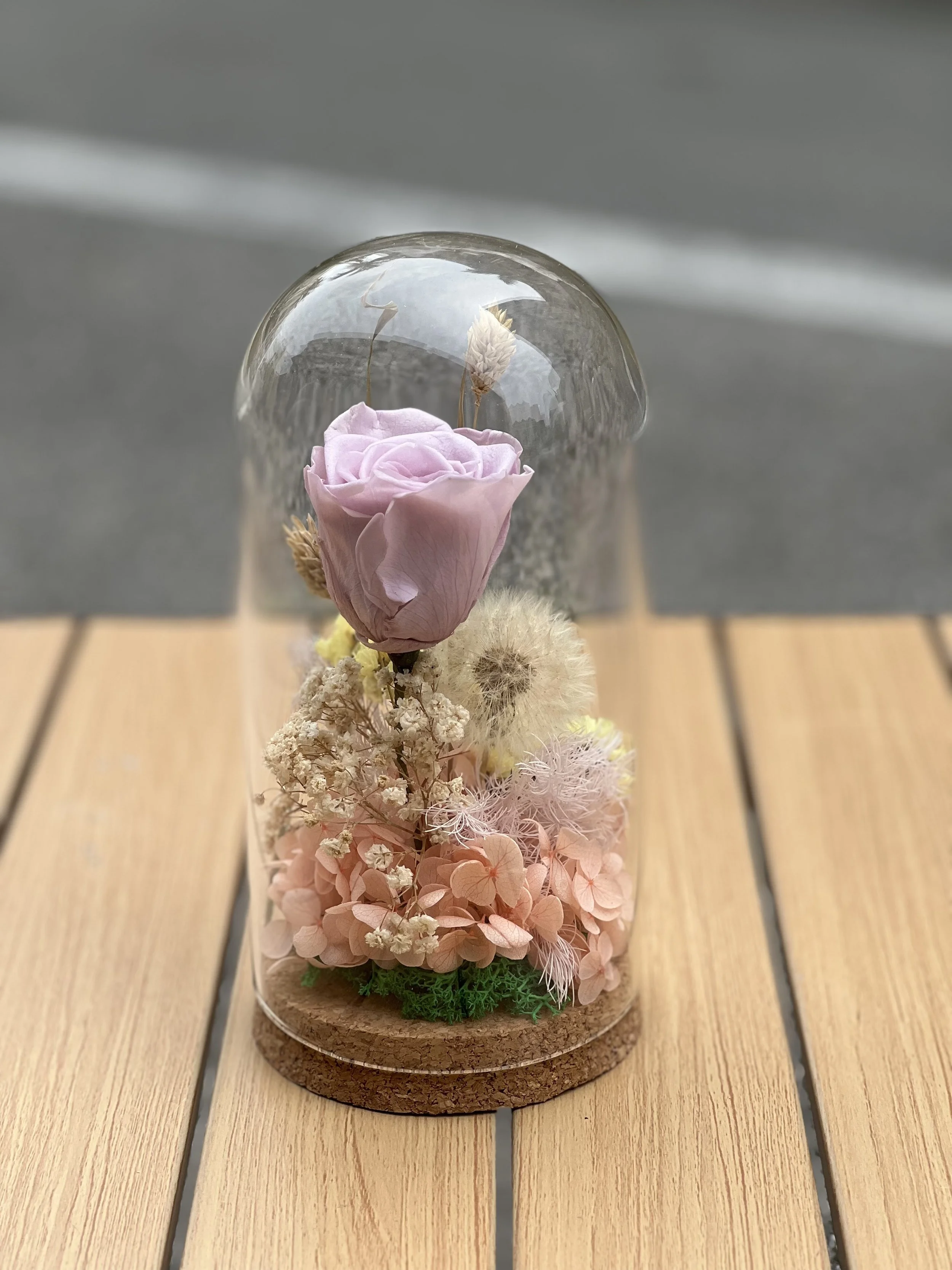 Small Special Preserved Cylinder Dome (Pink Rose)