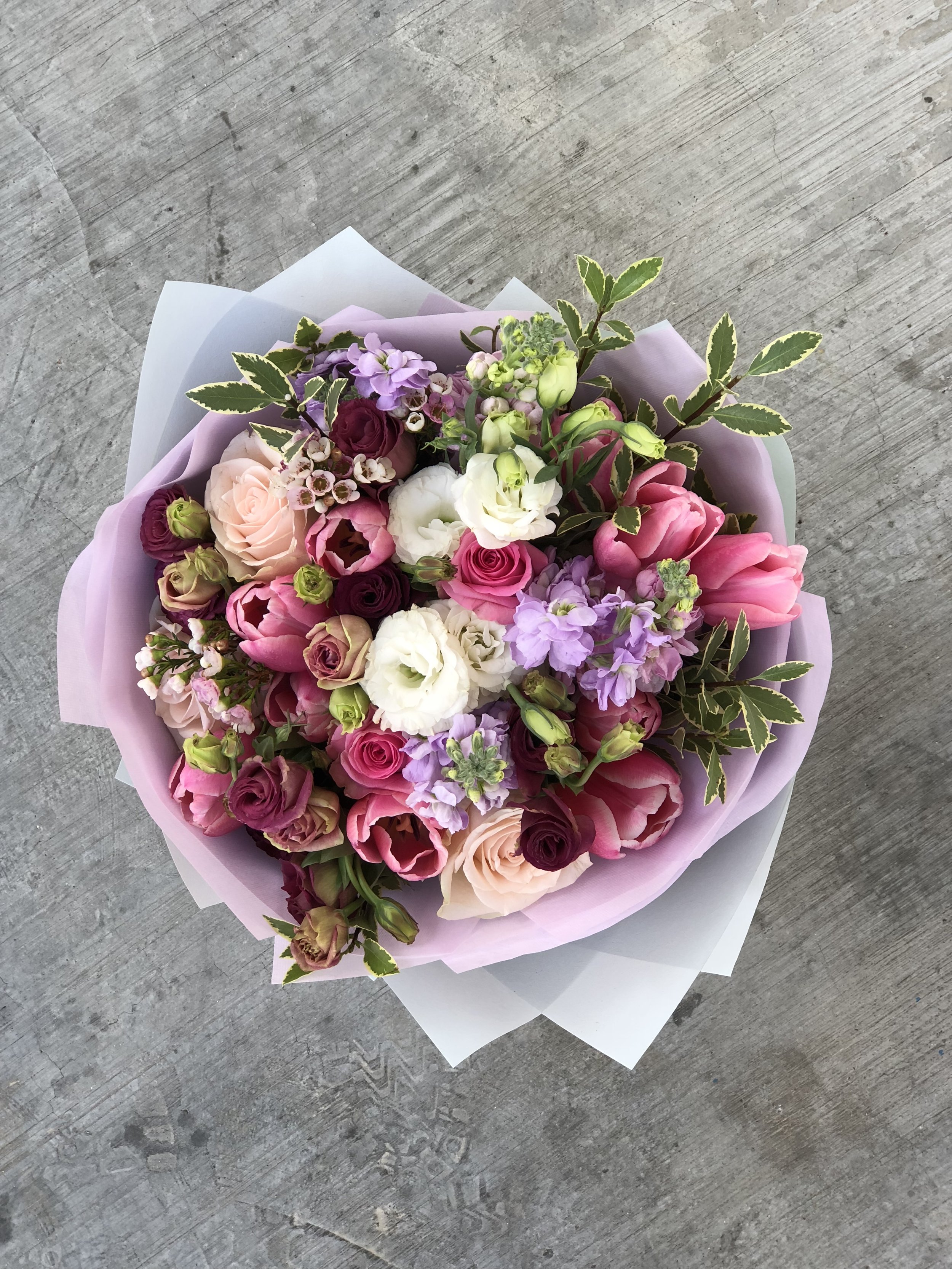 Roses Sparkle
