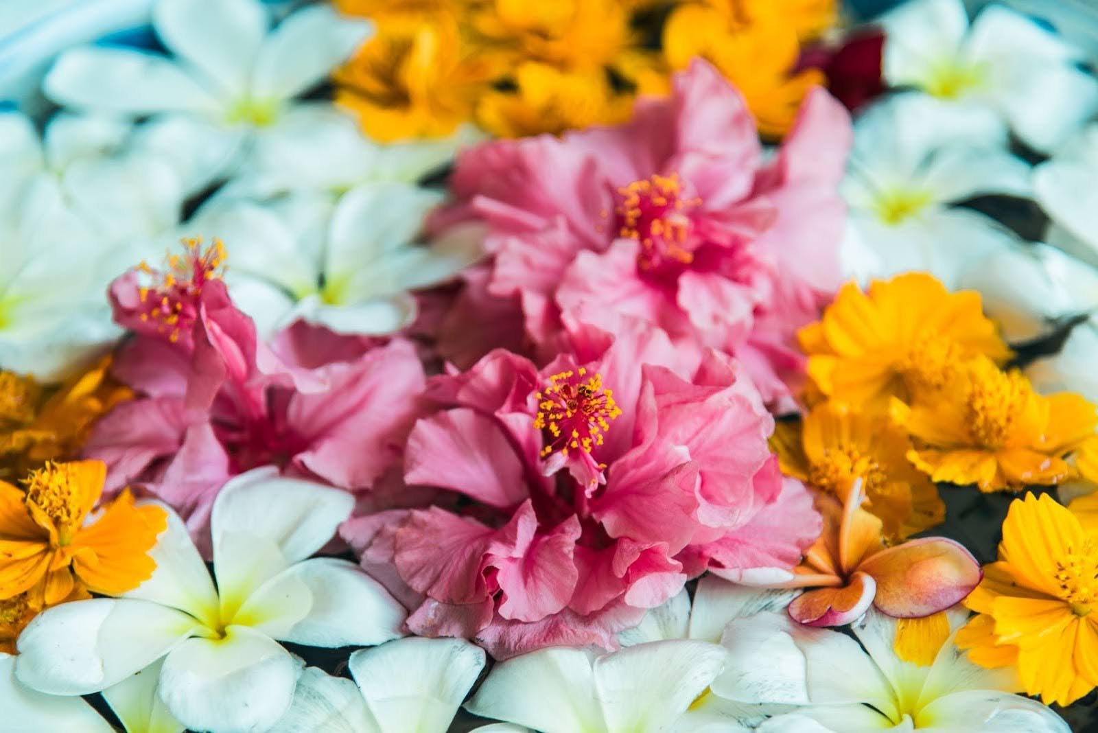 Buying Valentine’s Day Flowers in 2026: A Stress-Free Delivery Guide