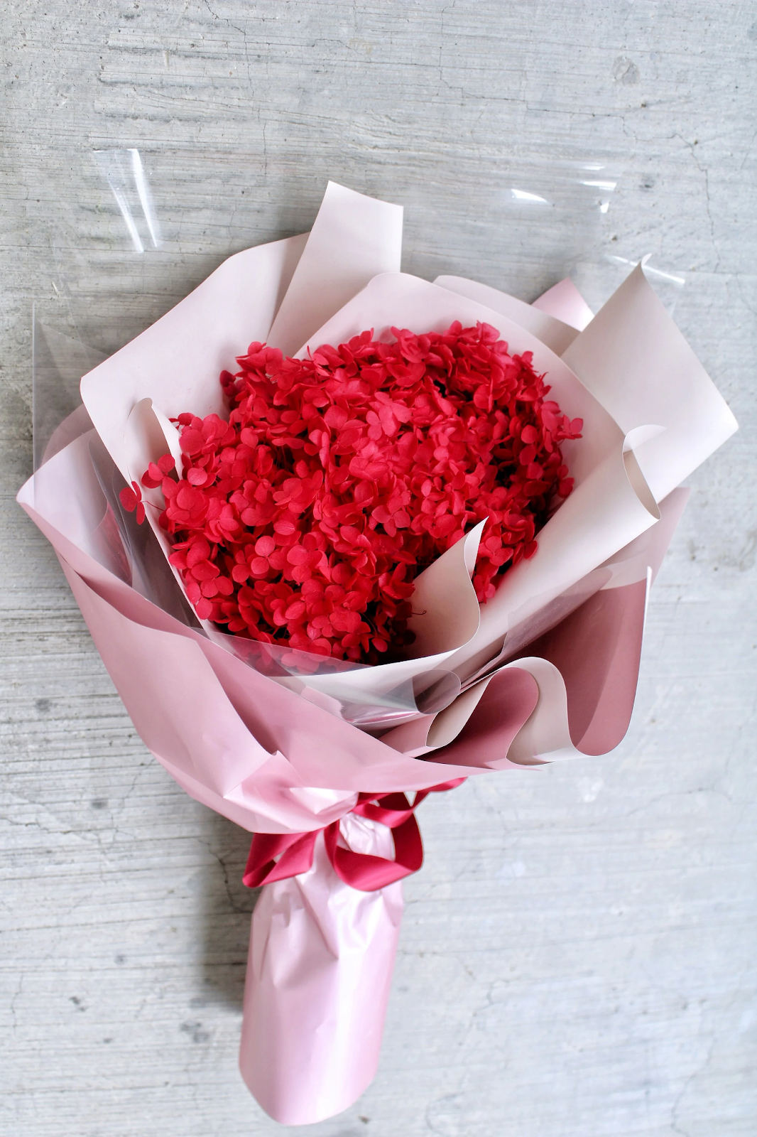 A vibrant red hydrangea bouquet wrapped in blush pink paper and clear plastic