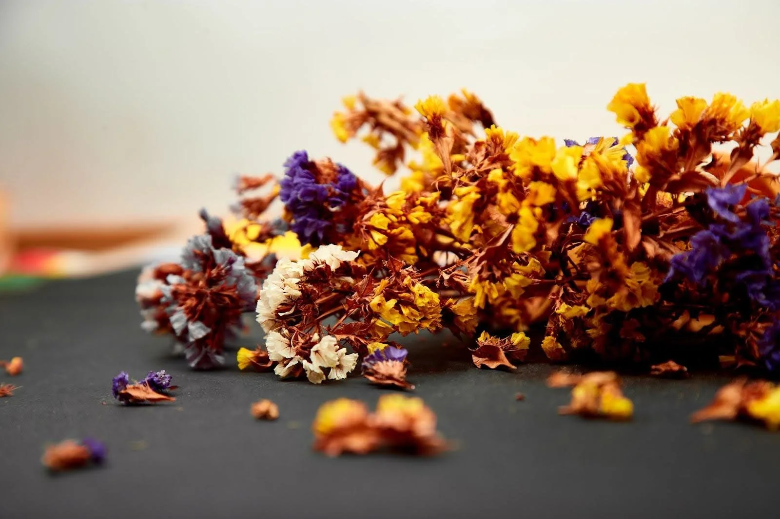 dried statice flowers yellow purple.jpg