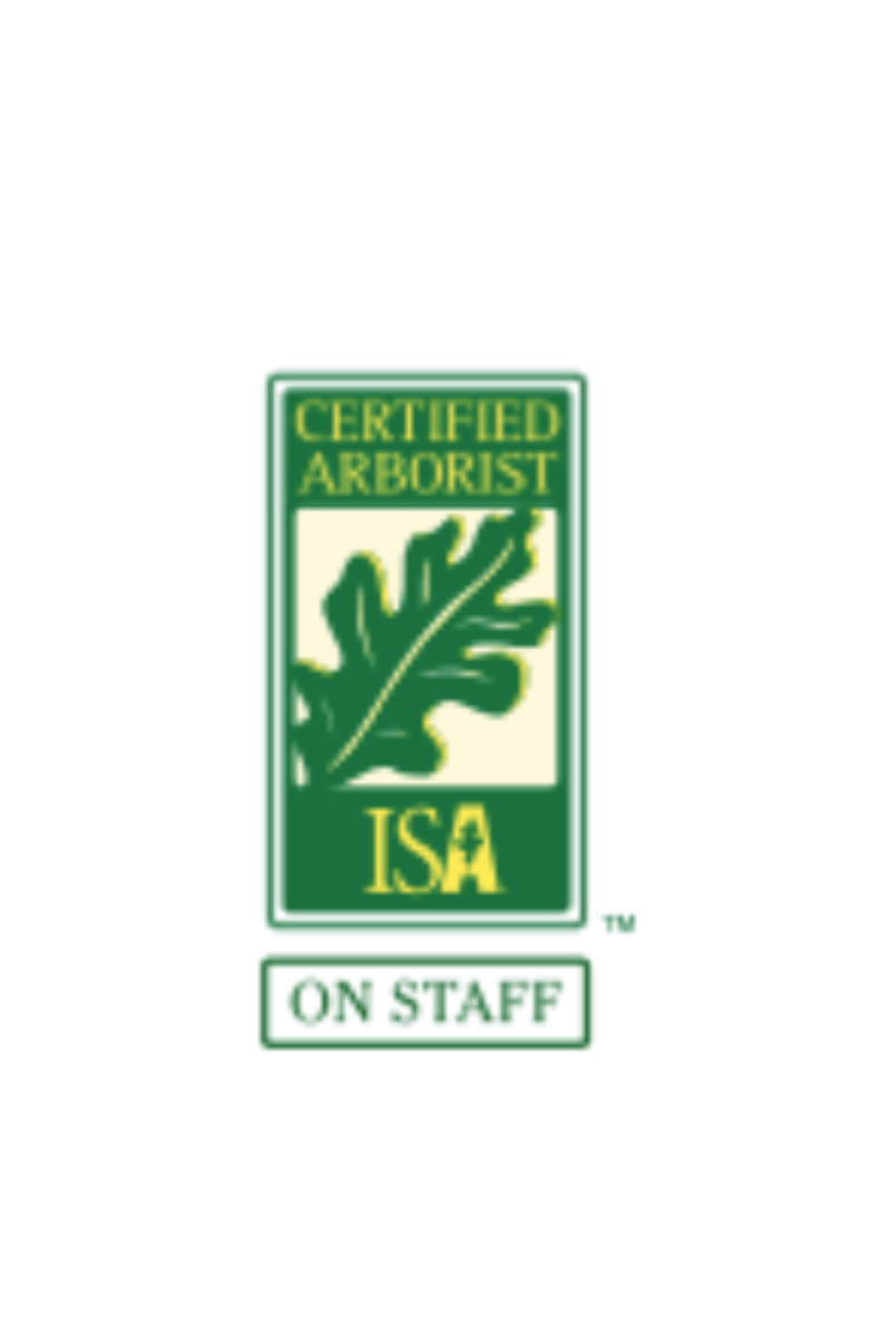 Why Hiring a Certified Arborist