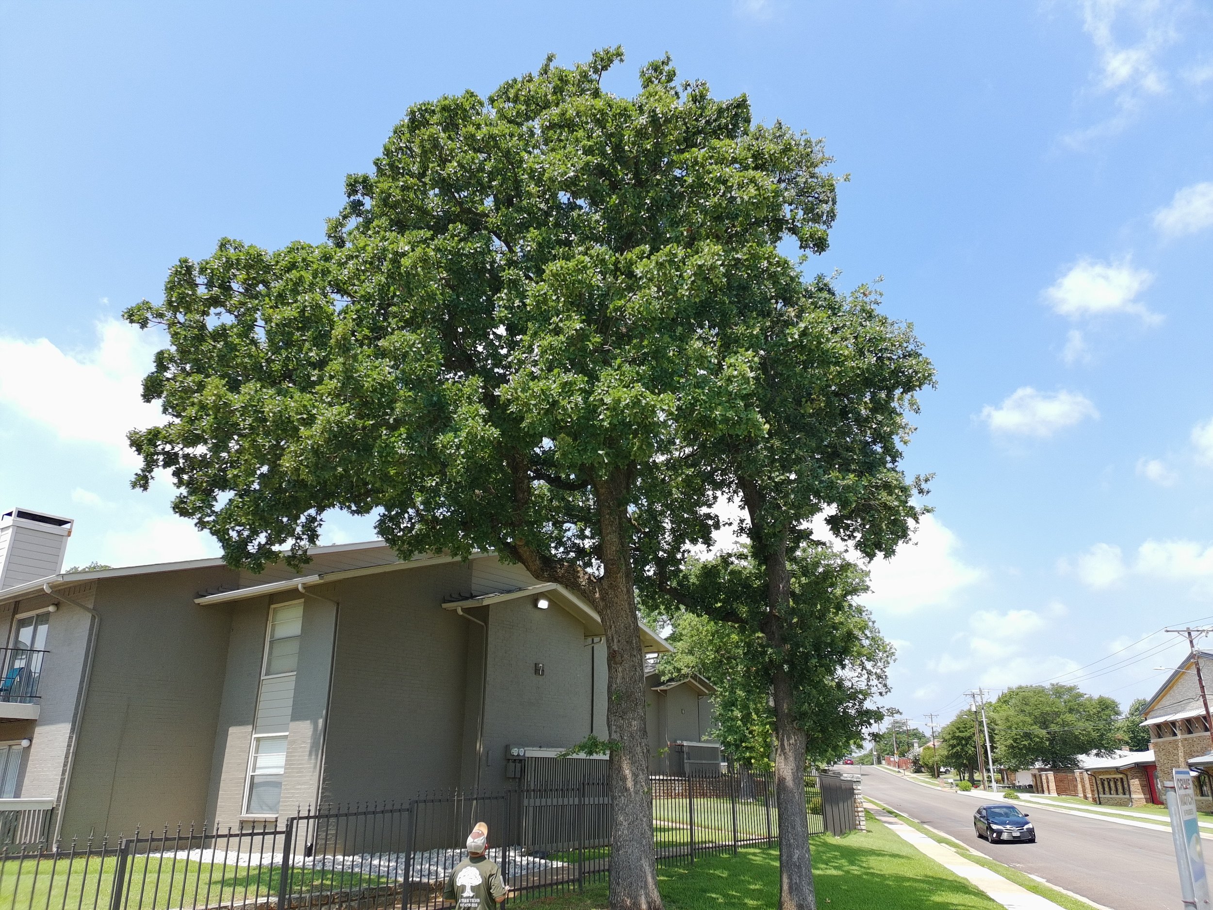 Why homeowners get different Recommendations