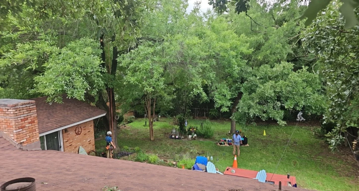 View of a backyard with green trees, a brick house to the left, and people setting up outdoor furniture and equipment, including a table with cans, chairs, and a cone. Two individuals are visible wearing helmets and preparing the space.