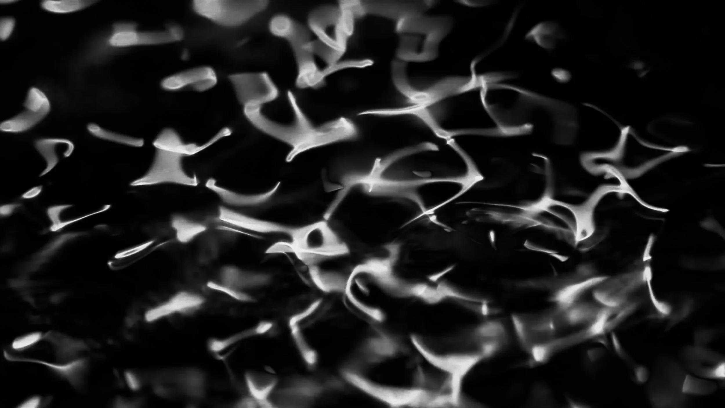 Before The Beginning Is The End.jpg