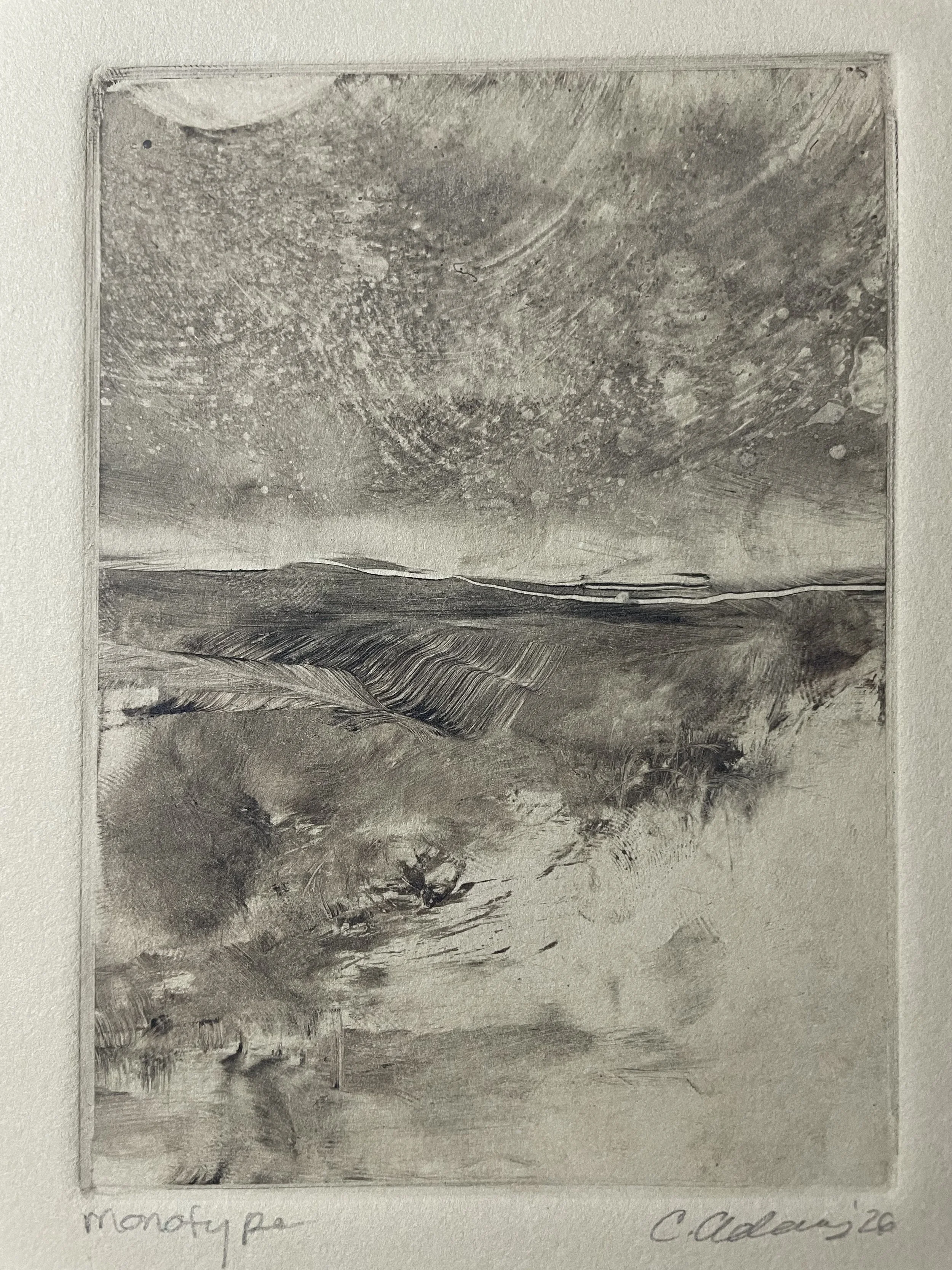 Monotype_117_big.jpeg