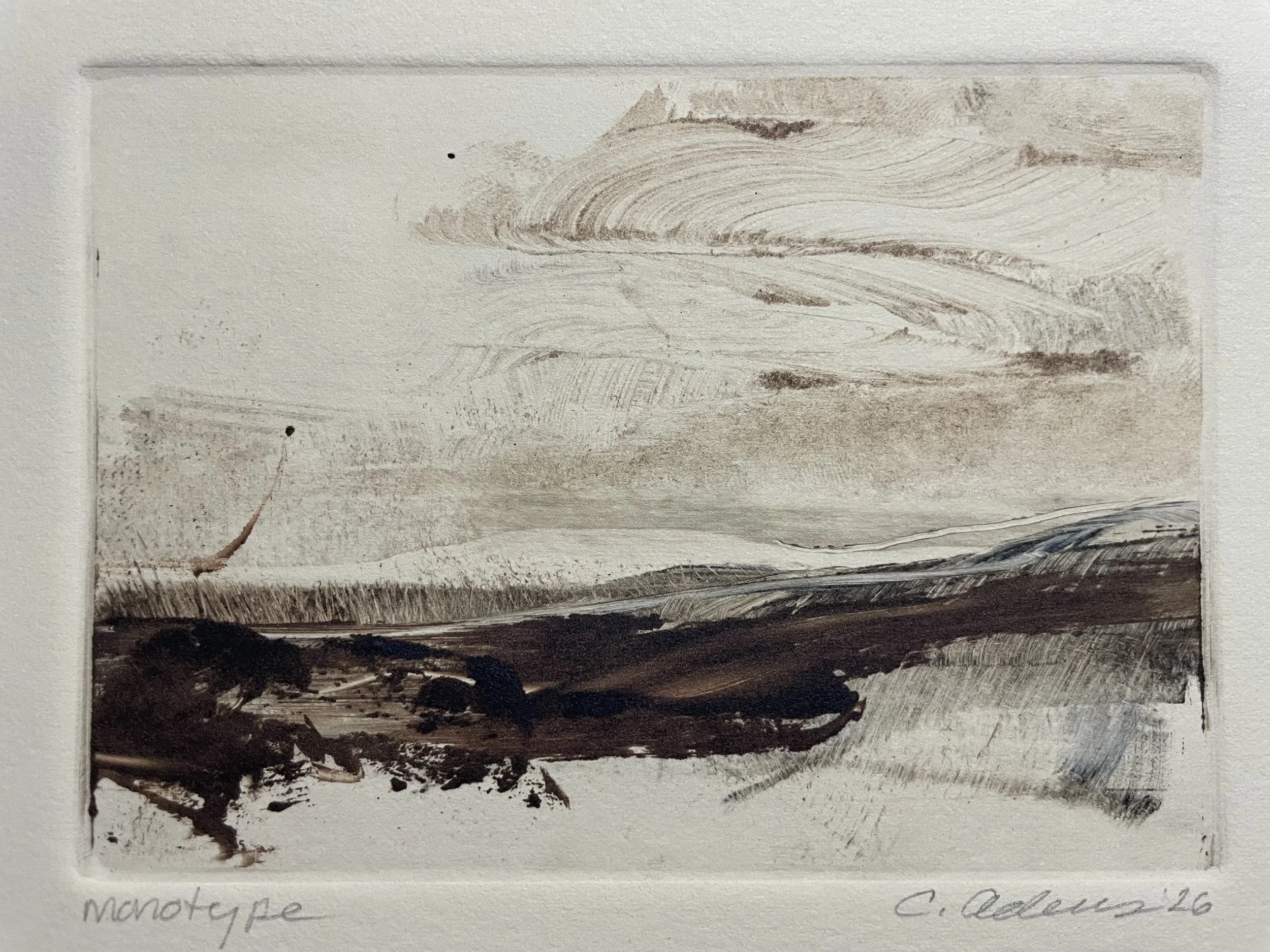 Monotype_132_big.jpeg