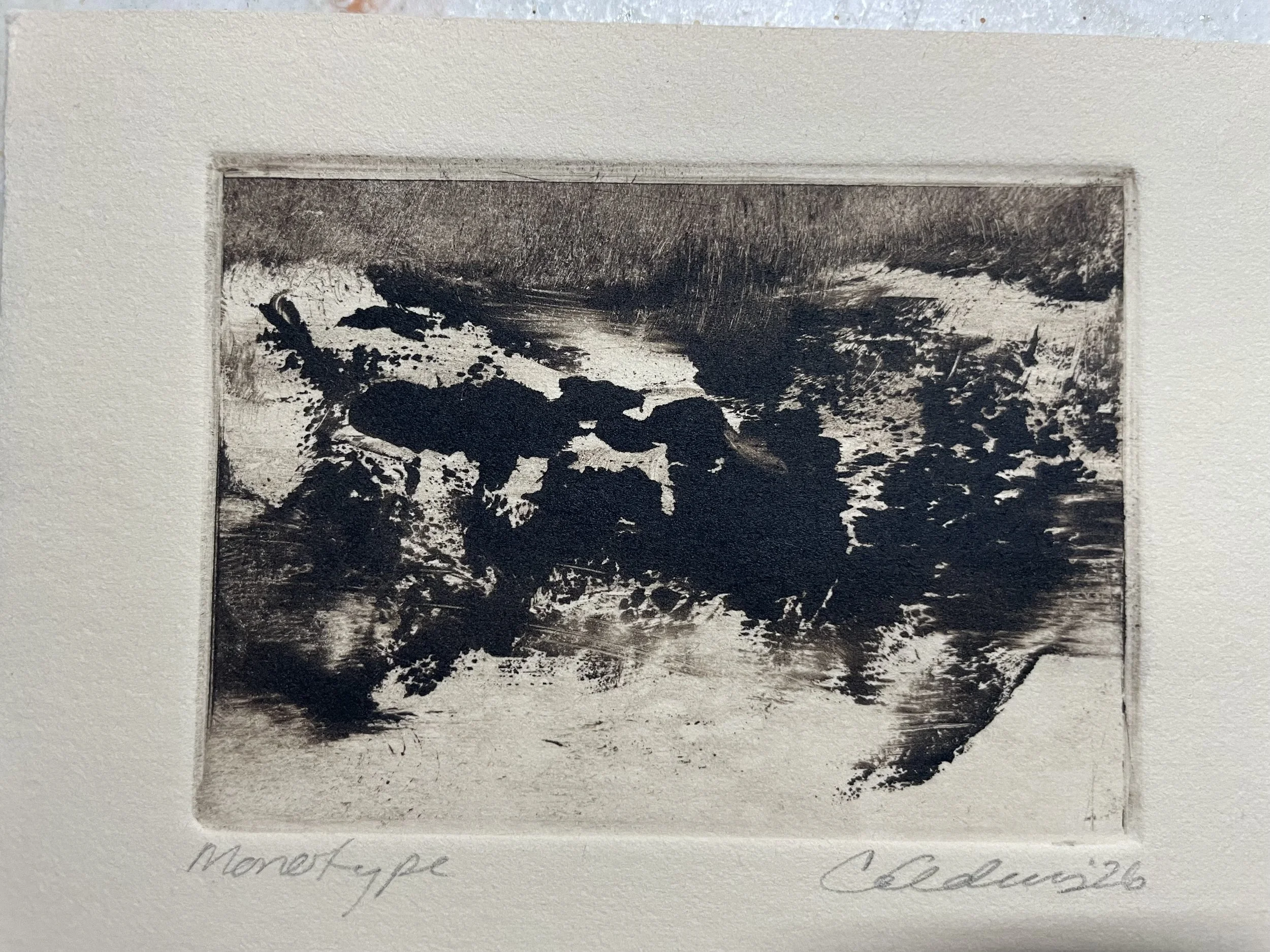 Monotype_110_small.jpeg